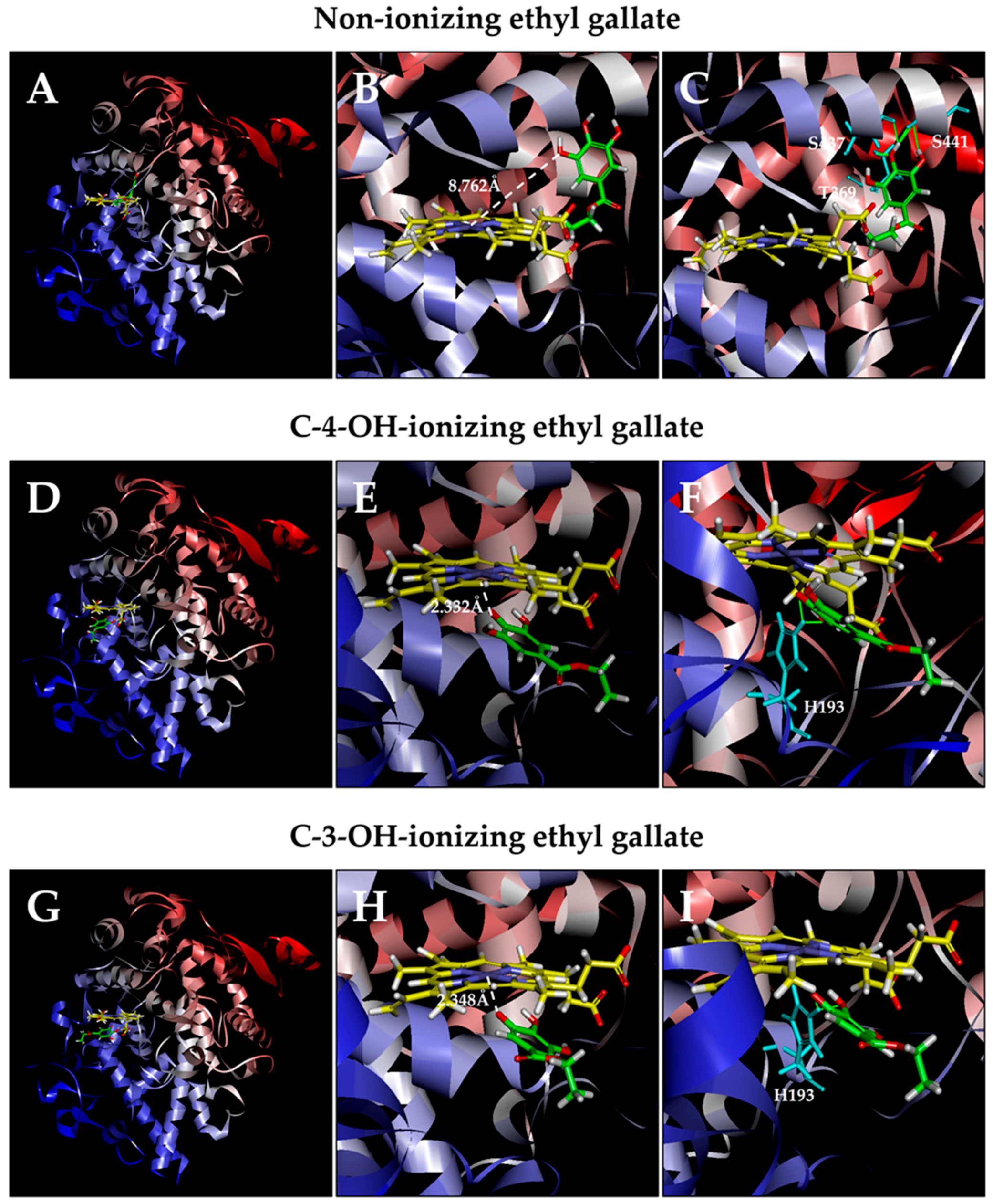 Biomolecules 08 00091 g006 Biomolecules 08 00091 g006