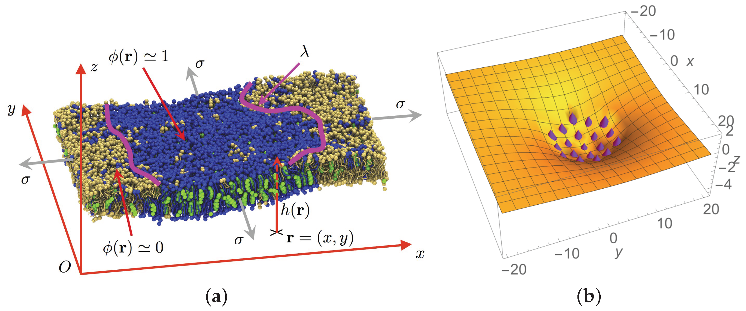 Biomolecules 08 00104 g001