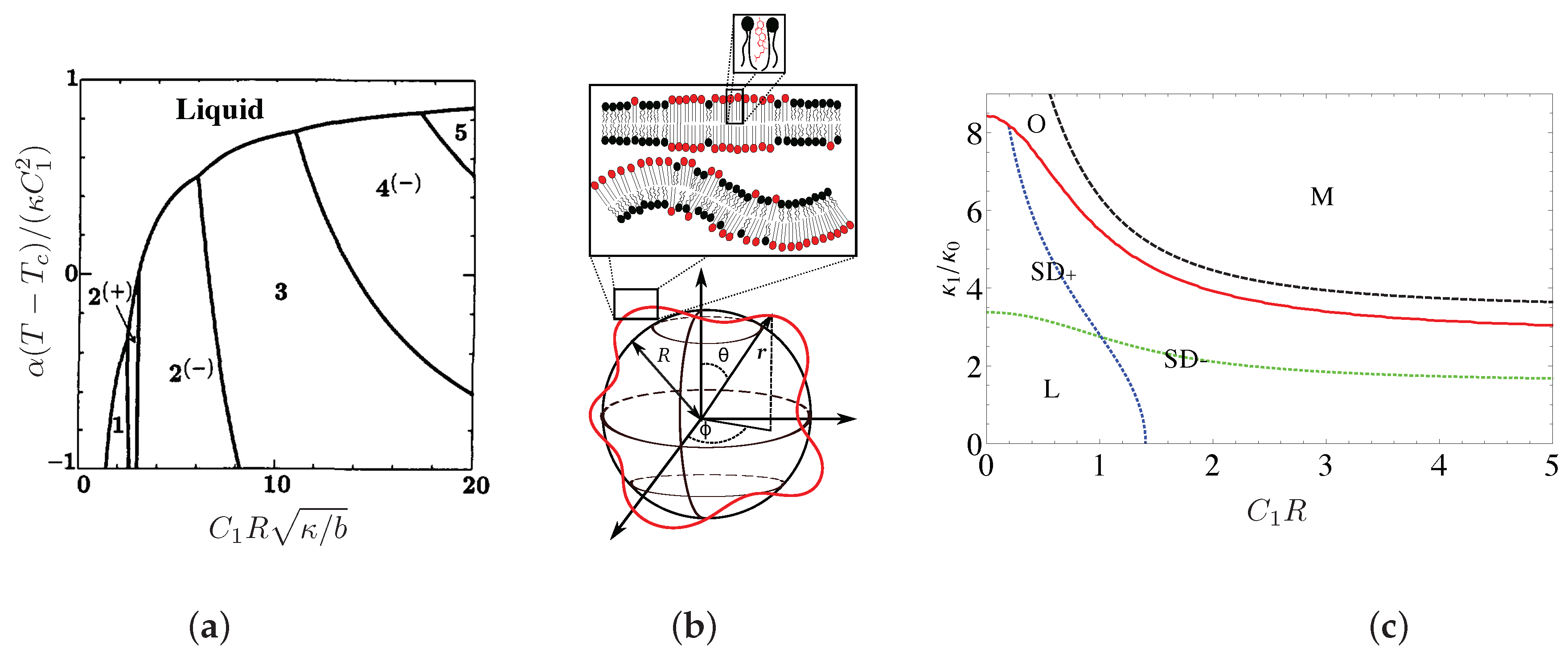 Biomolecules 08 00104 g003