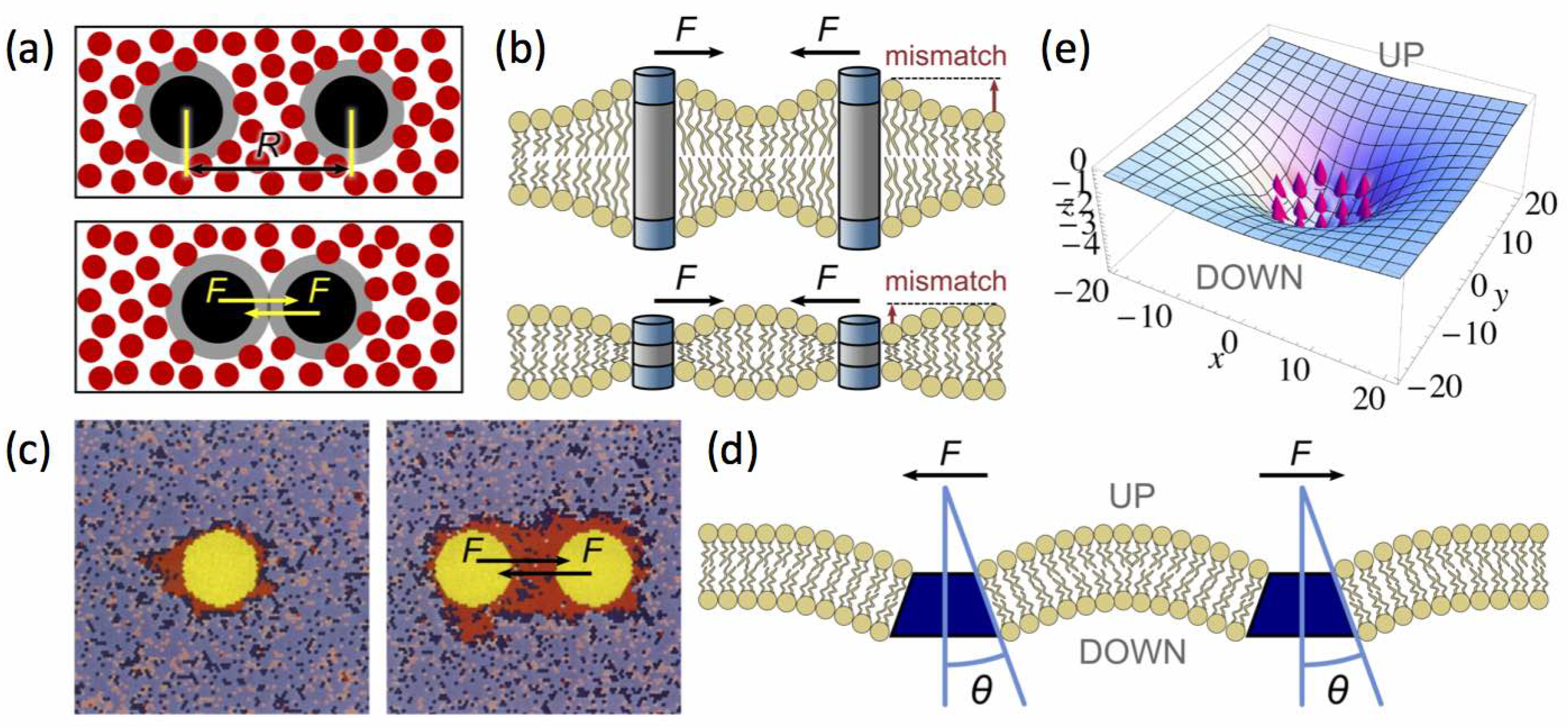 Biomolecules 08 00104 g007