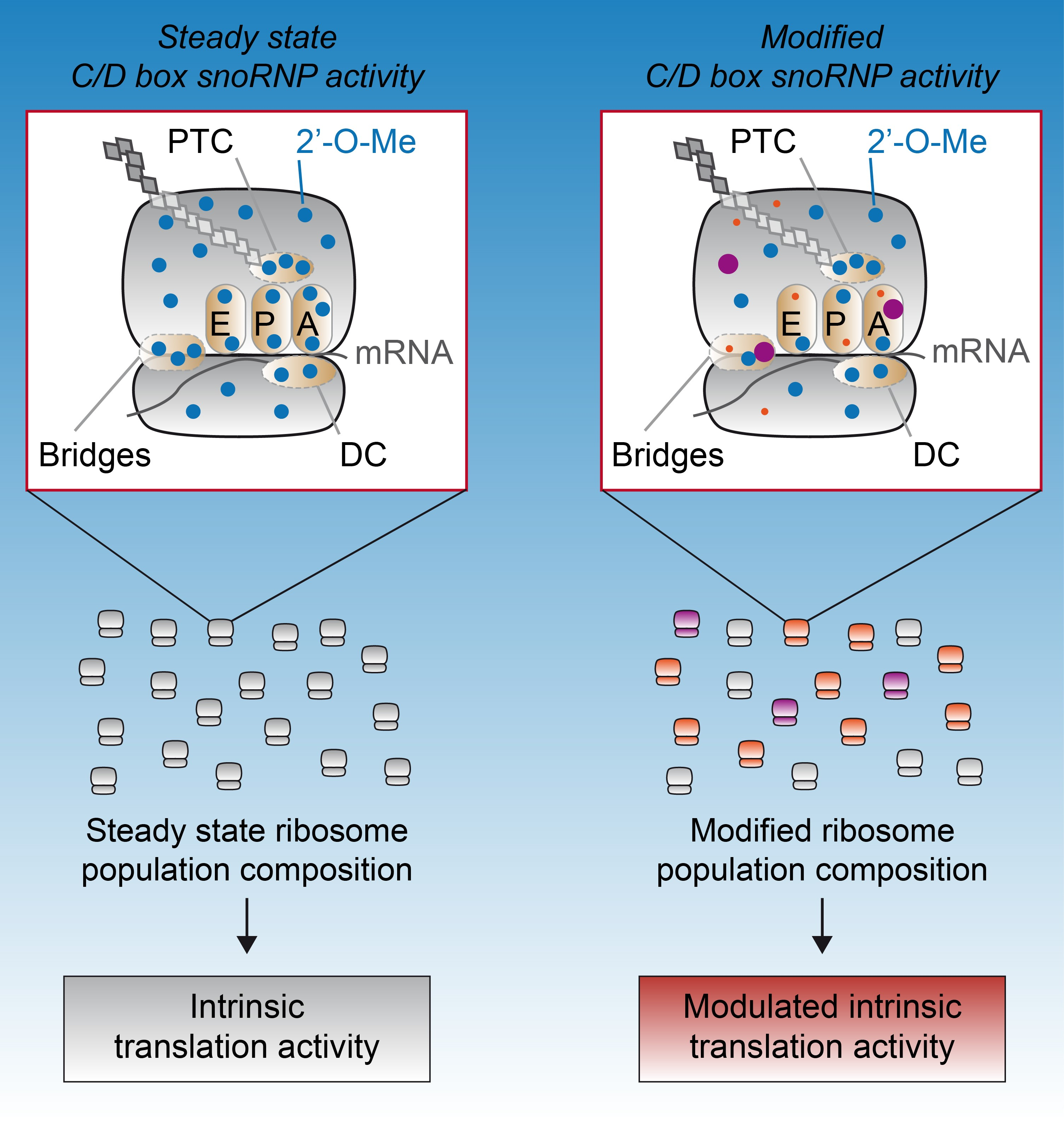 Biomolecules 08 00106 g002