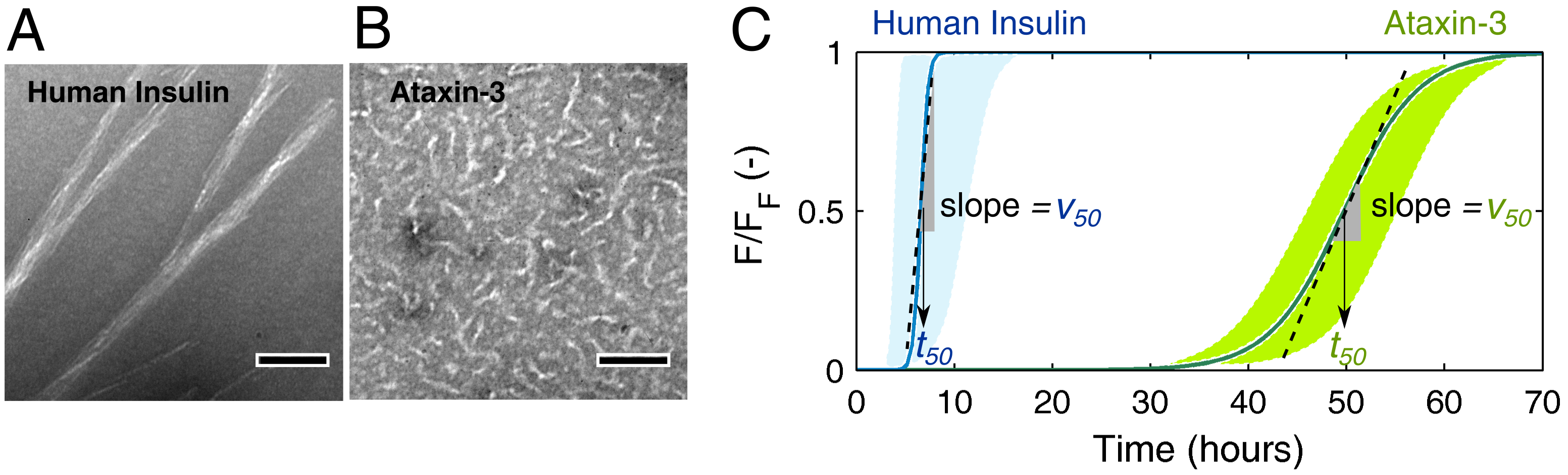 Biomolecules 08 00108 g001 Biomolecules 08 00108 g001