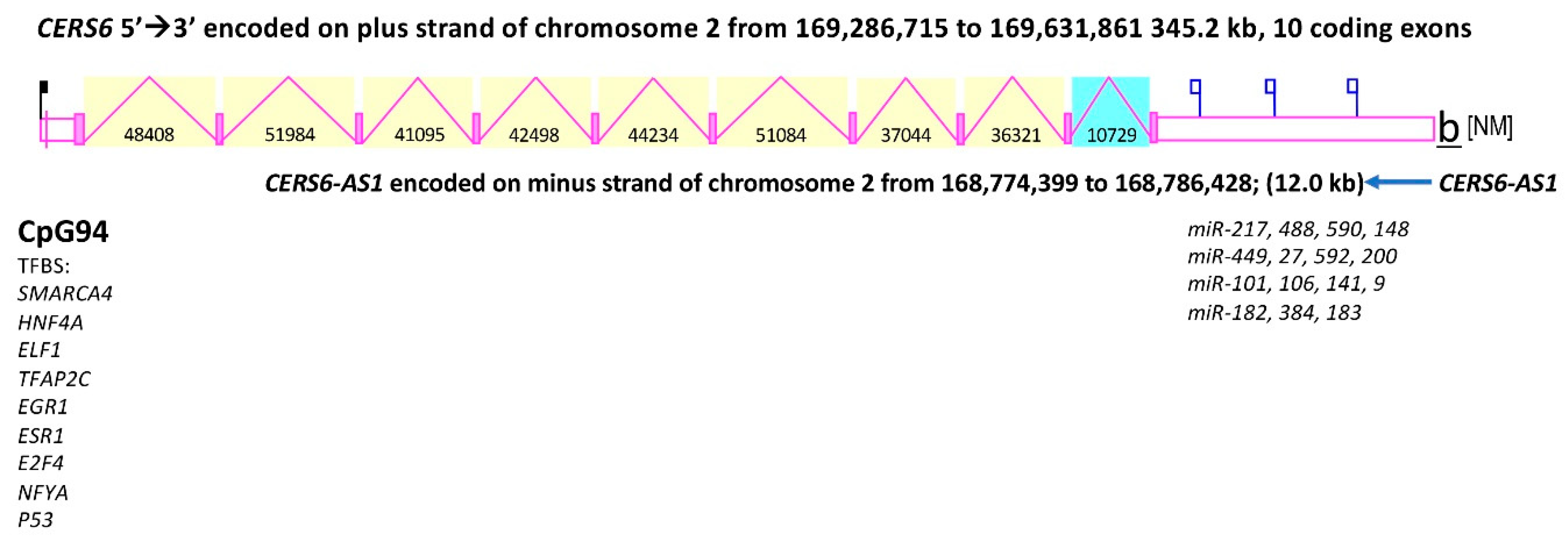 Biomolecules 08 00111 g005