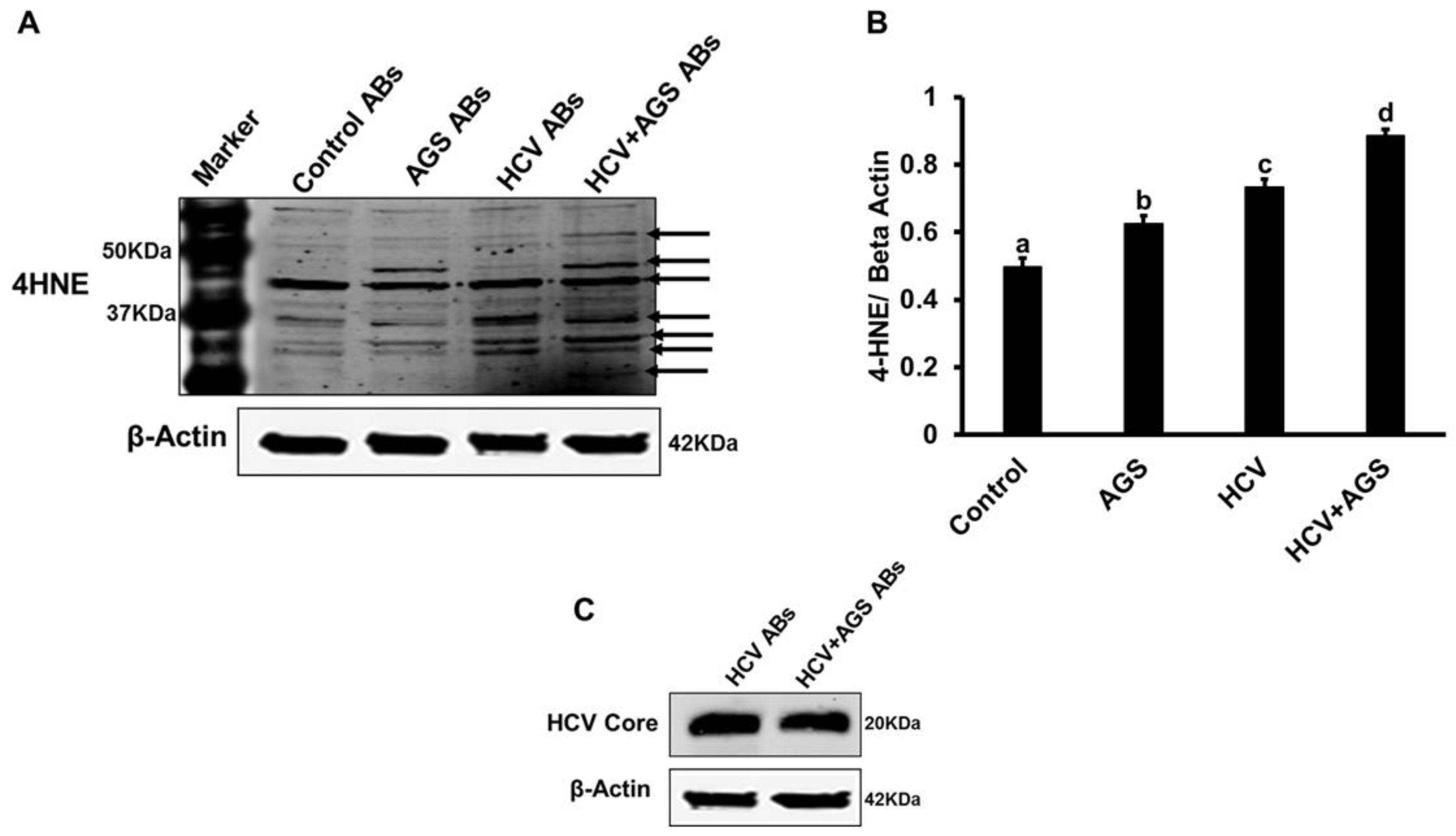 Biomolecules 08 00113 g003