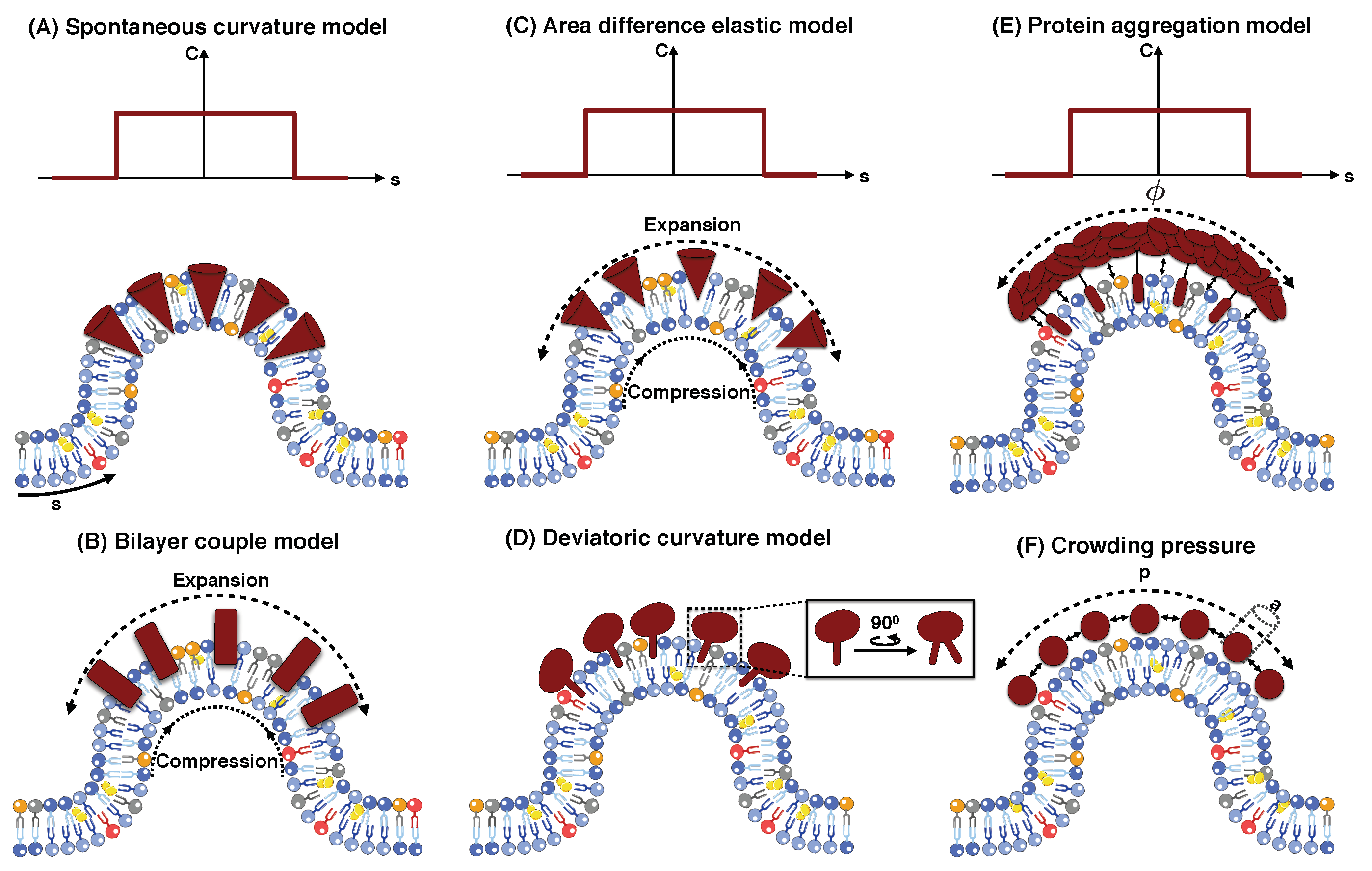 Biomolecules 08 00120 g003