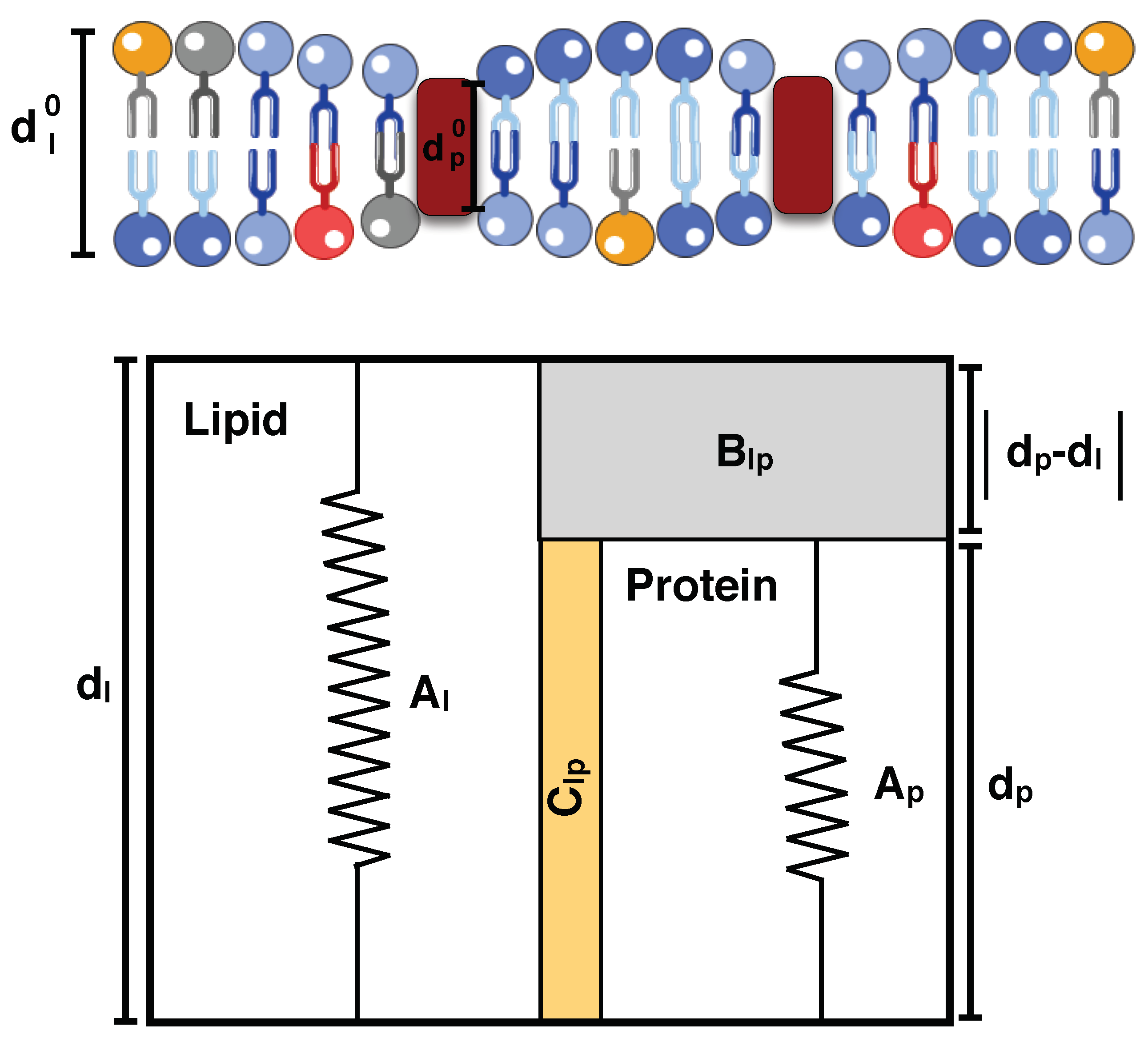Biomolecules 08 00120 g004