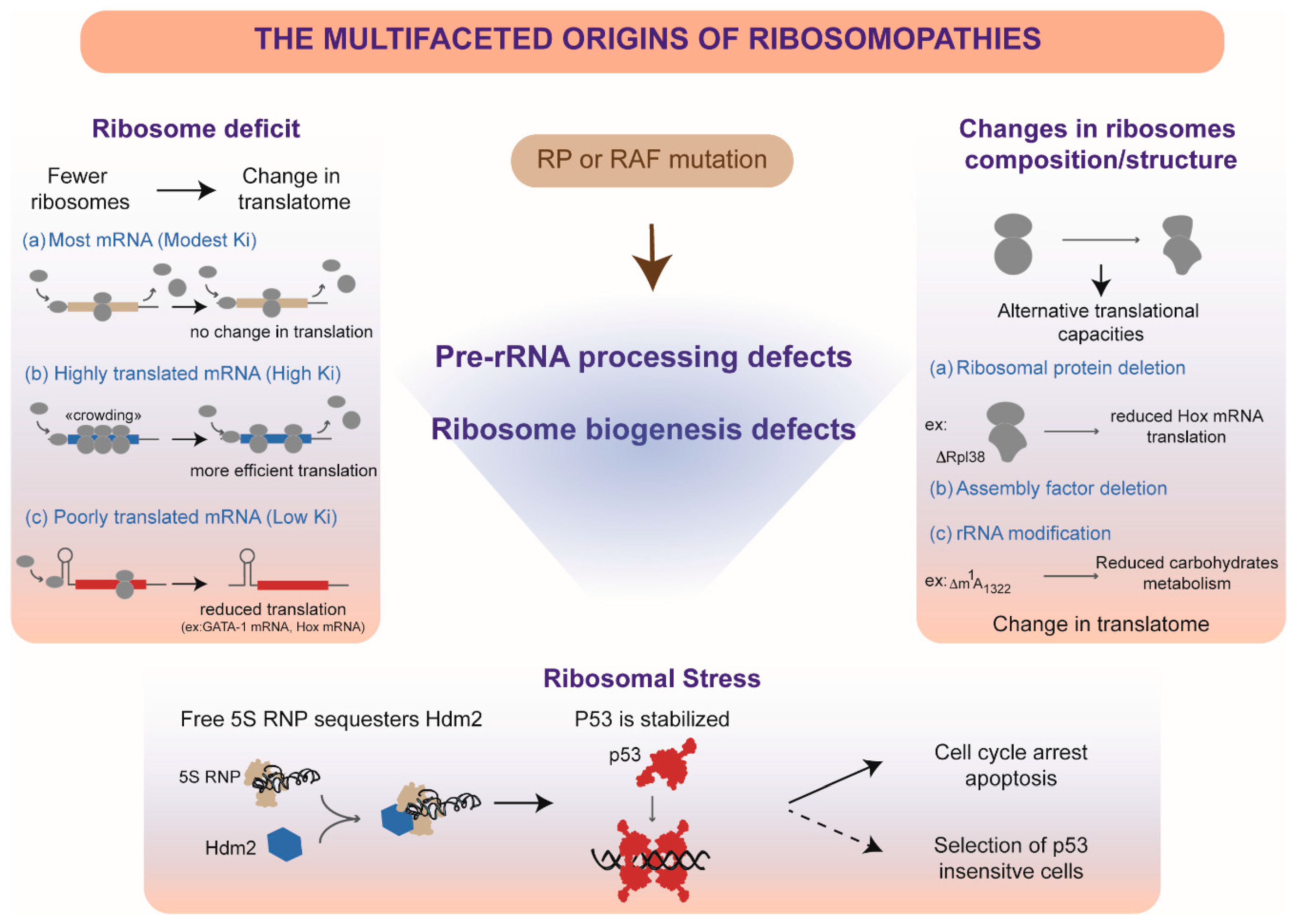Biomolecules 08 00123 g005