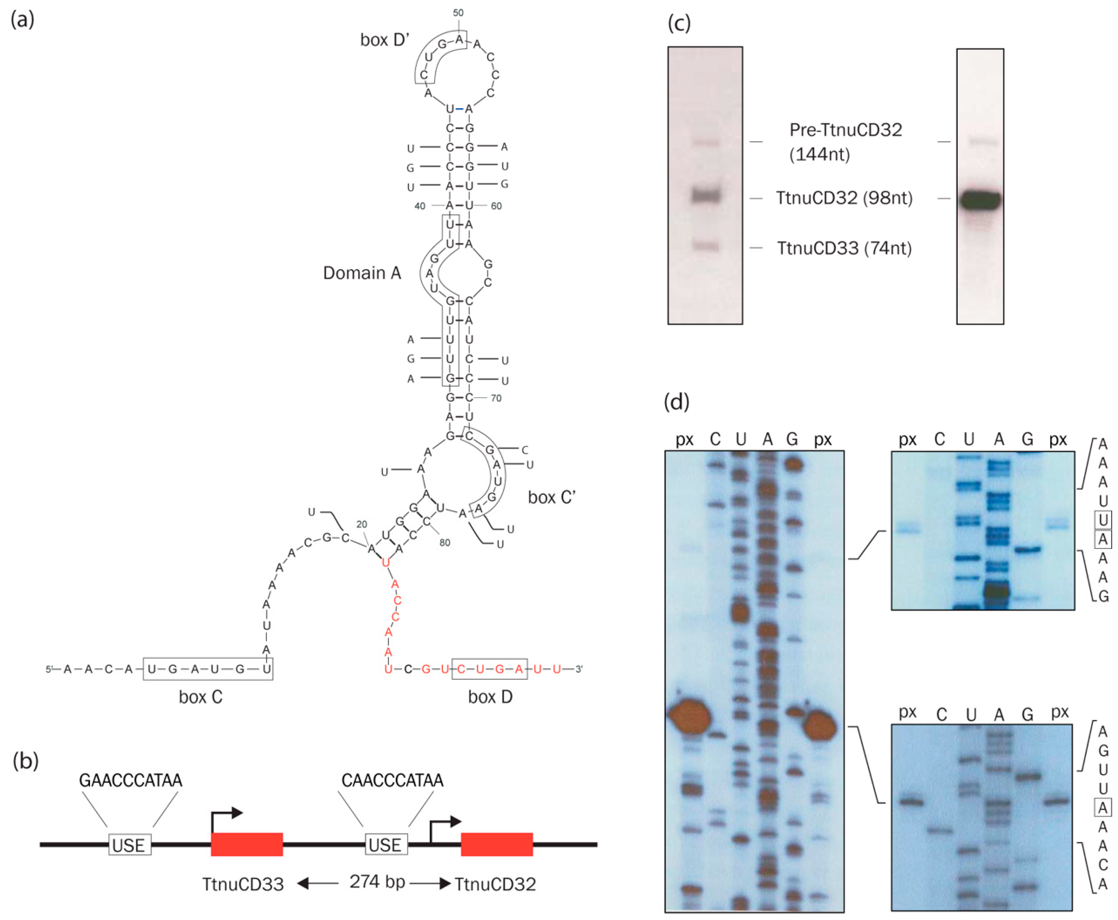 Biomolecules 08 00128 g002