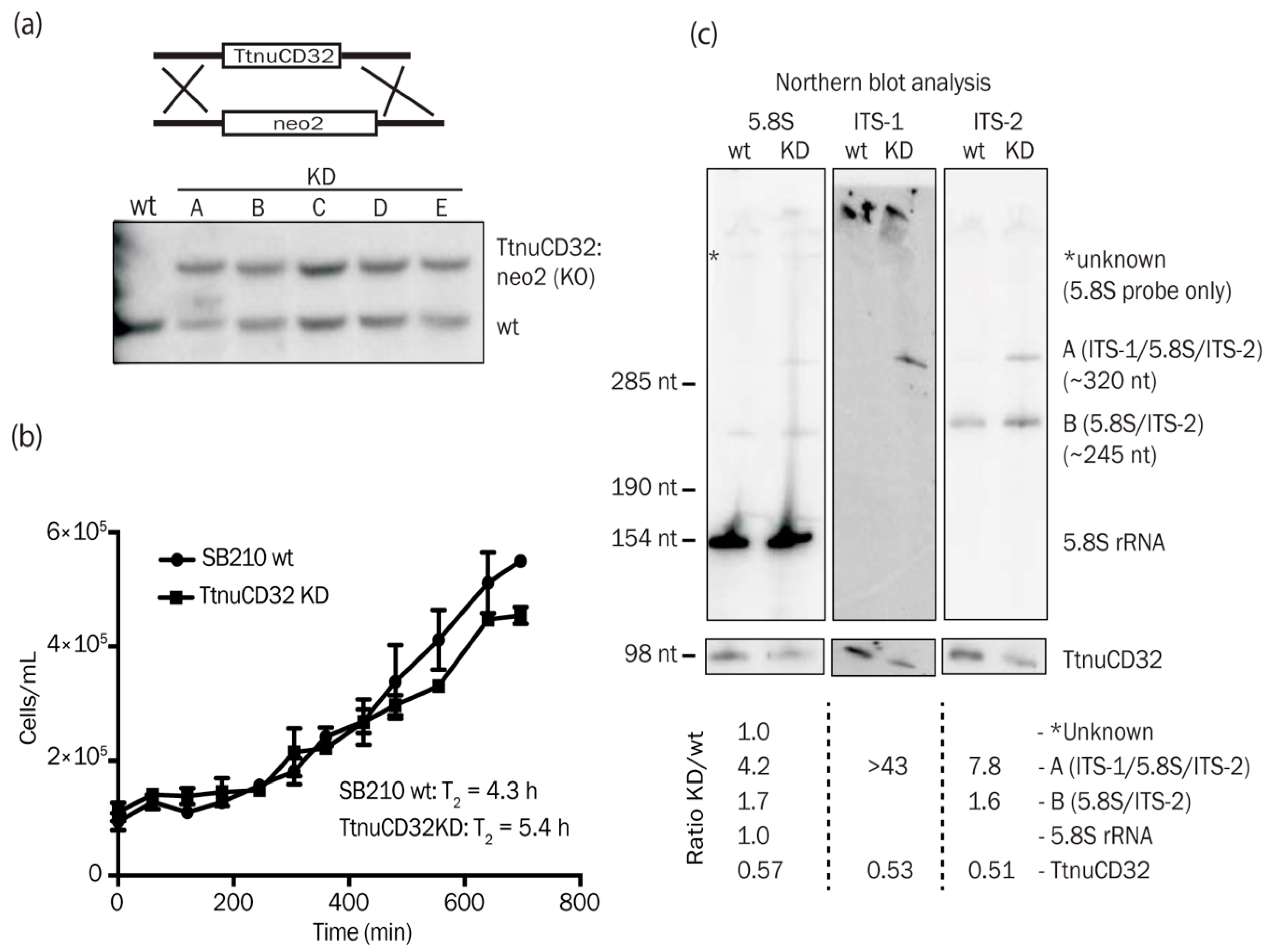 Biomolecules 08 00128 g003