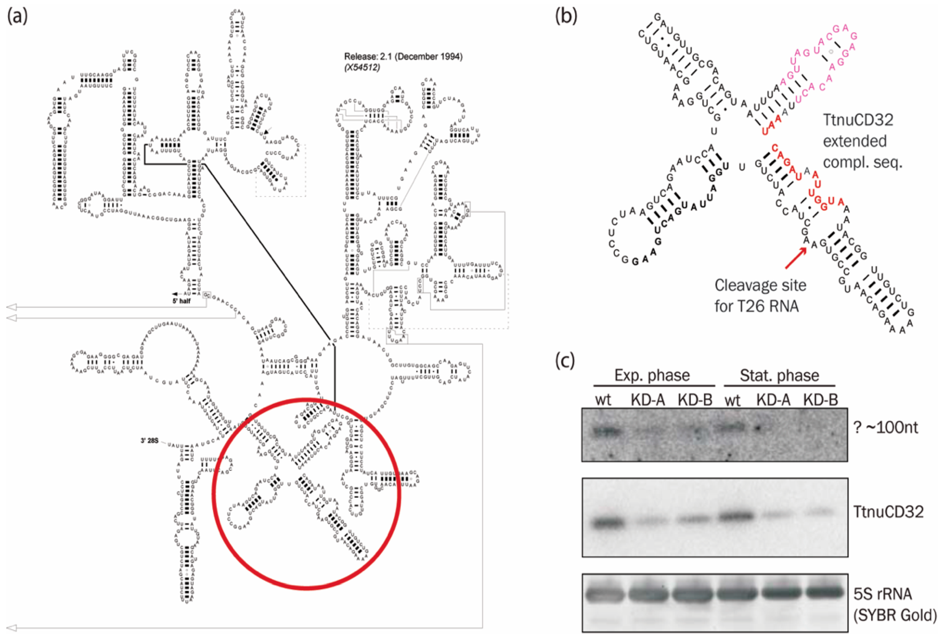 Biomolecules 08 00128 g004