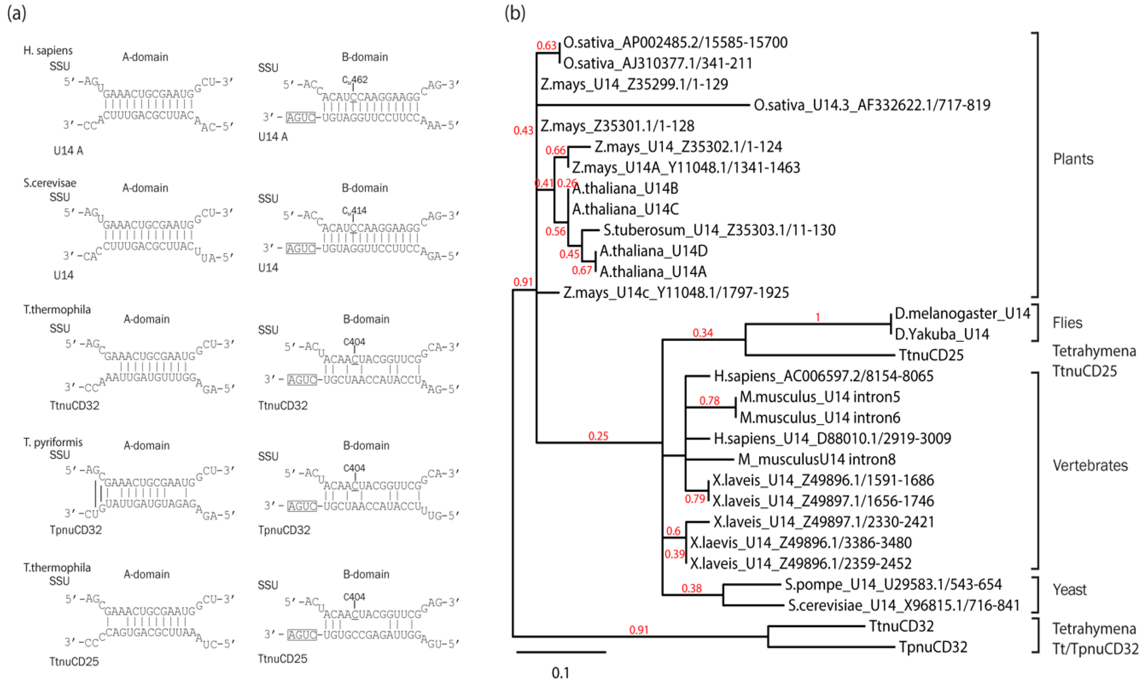 Biomolecules 08 00128 g005