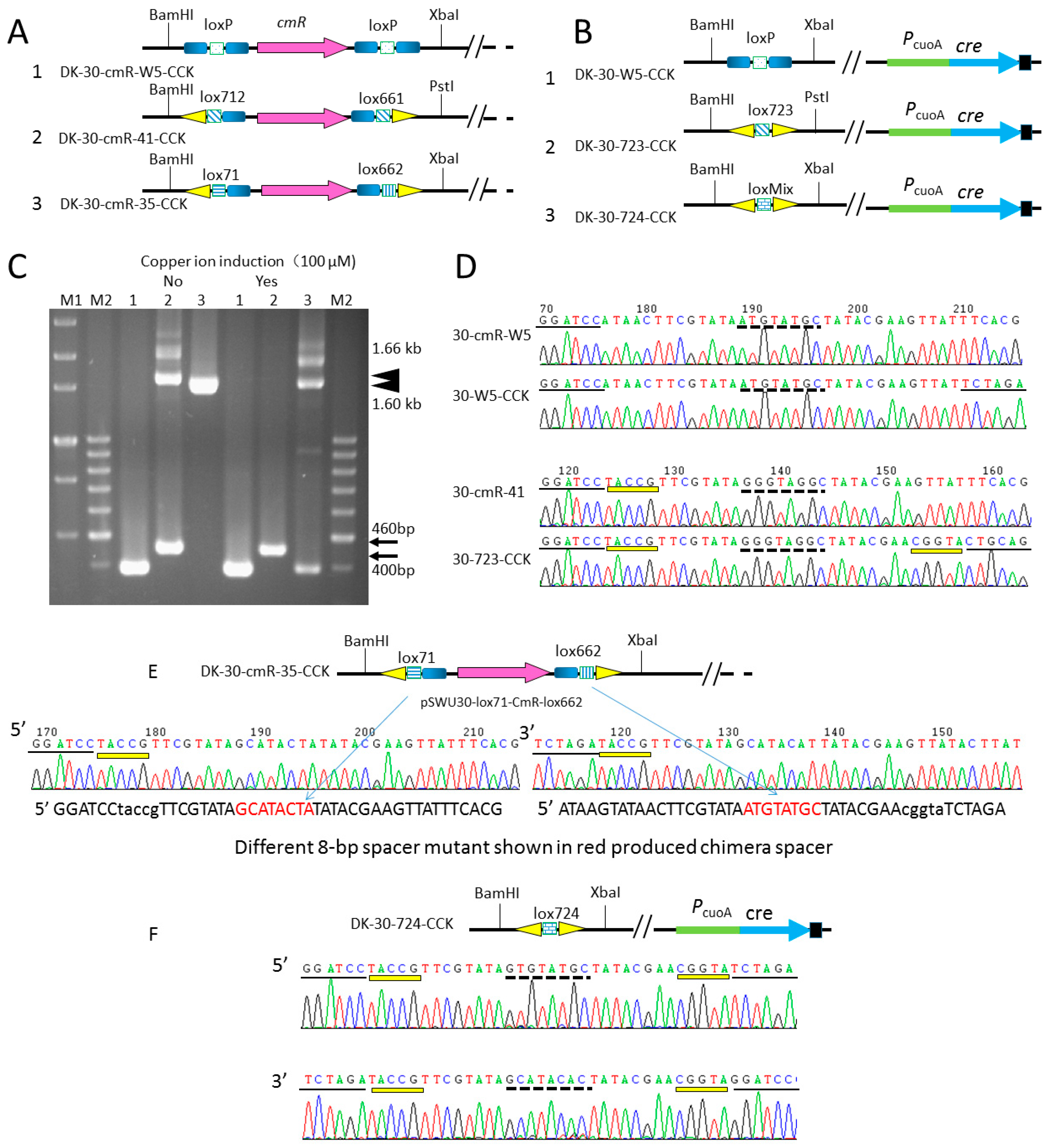 Biomolecules 08 00137 g002 Biomolecules 08 00137 g002