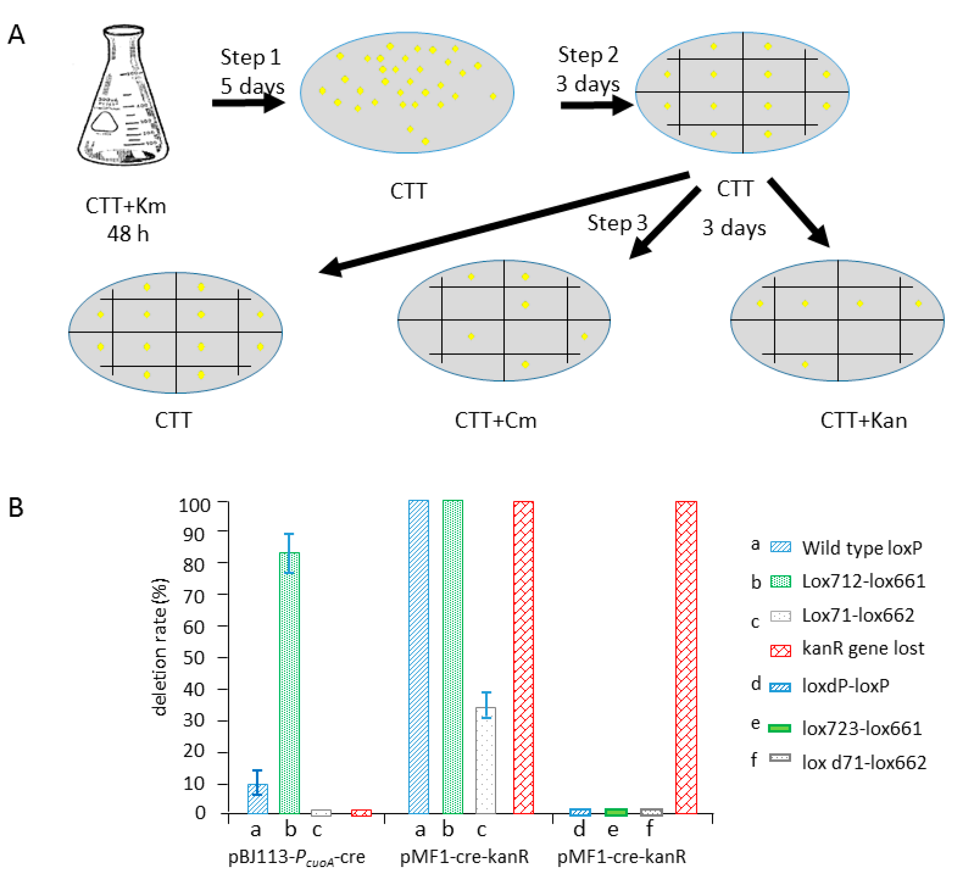 Biomolecules 08 00137 g005 Biomolecules 08 00137 g005