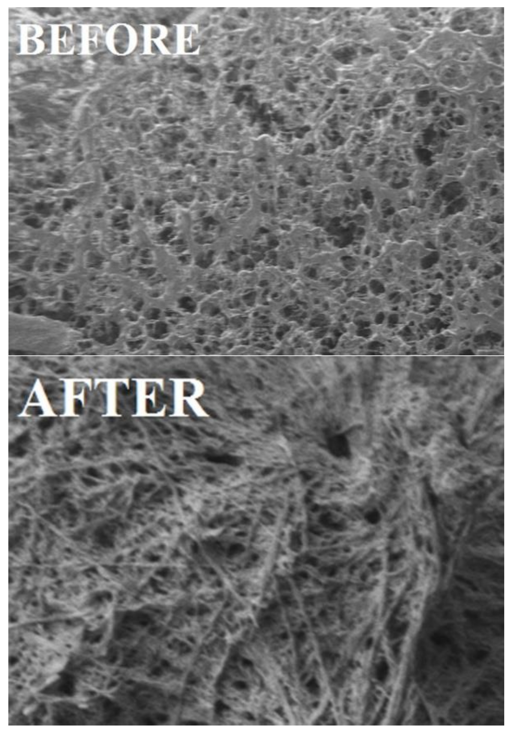 Biomolecules 08 00138 g015