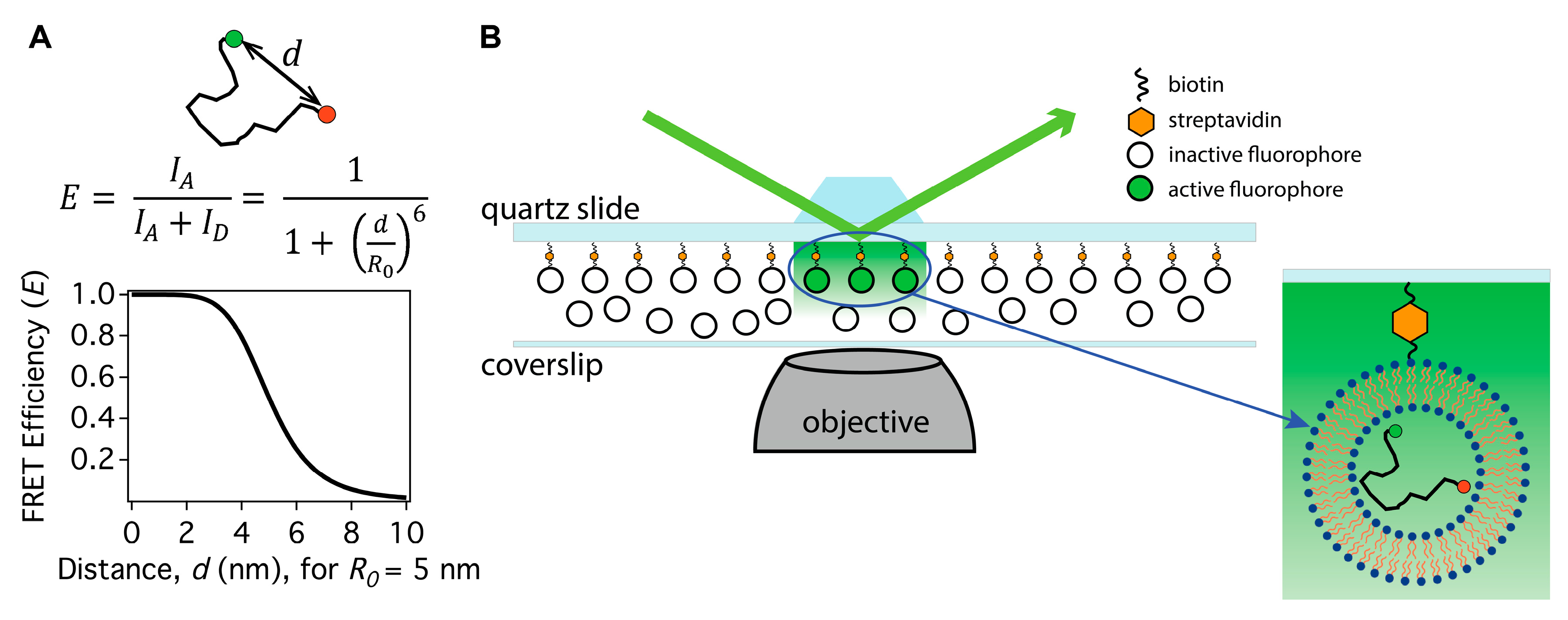 Biomolecules 08 00140 g002
