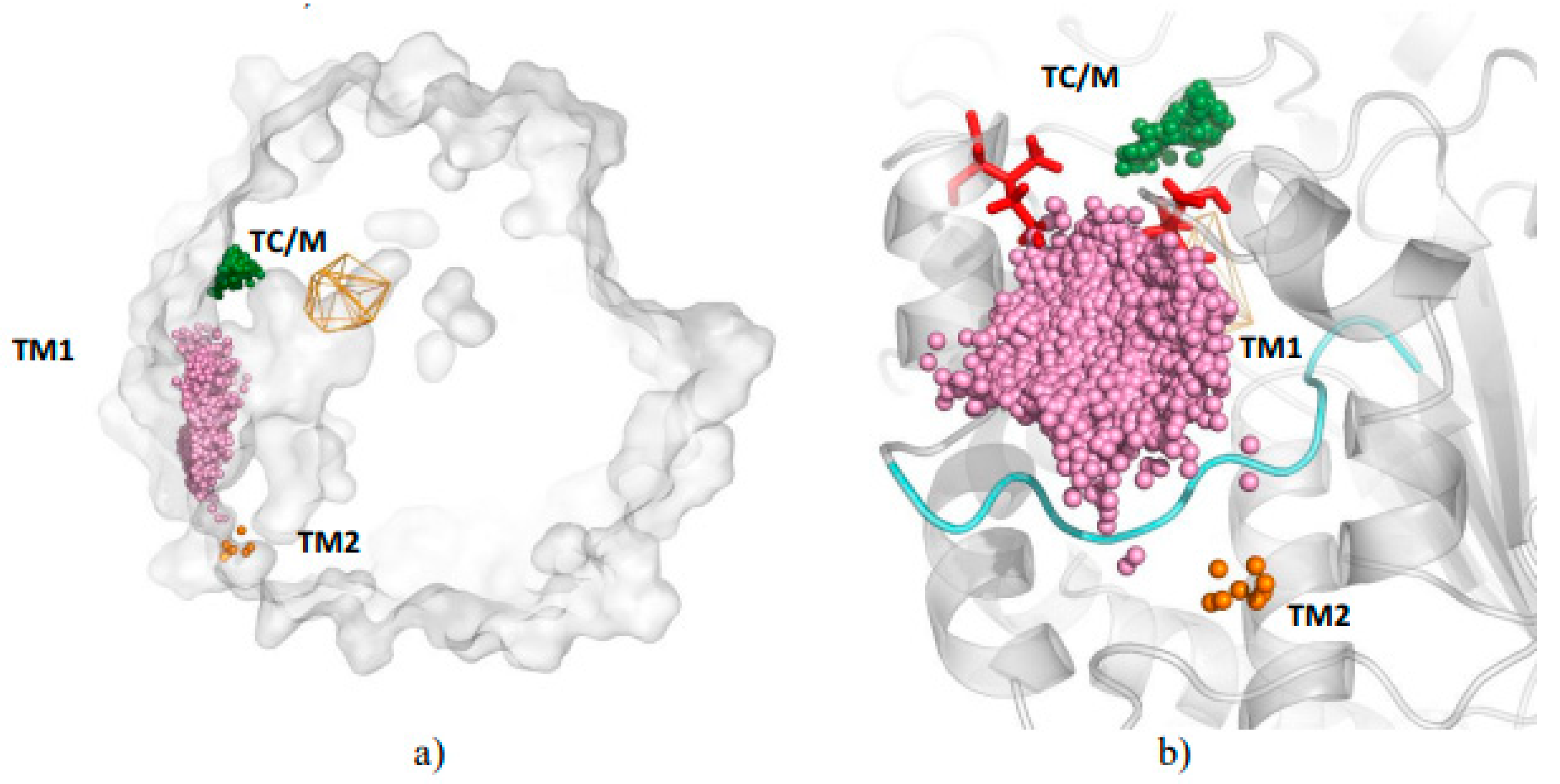Biomolecules 08 00143 g001
