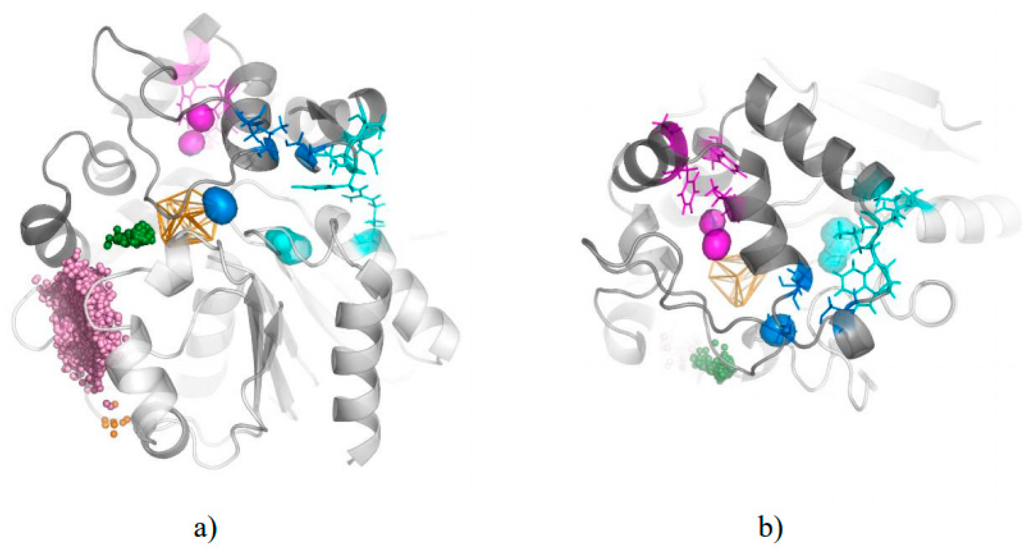 Biomolecules 08 00143 g004