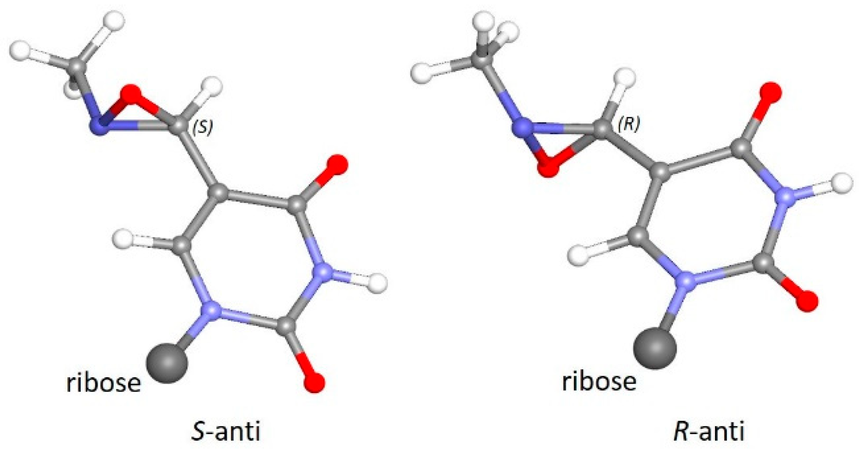 Biomolecules 08 00145 g008 Biomolecules 08 00145 g008