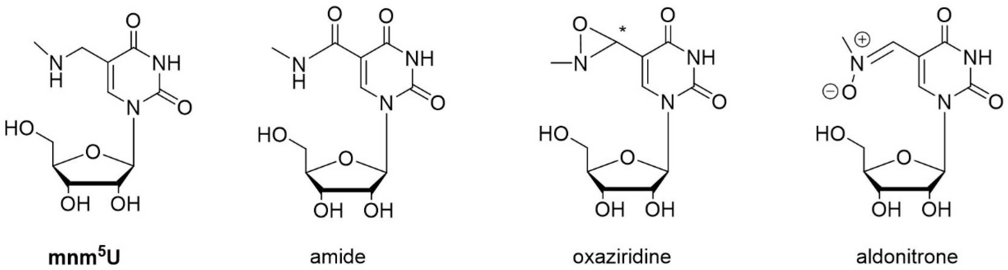 Biomolecules 08 00145 sch001 Biomolecules 08 00145 sch001