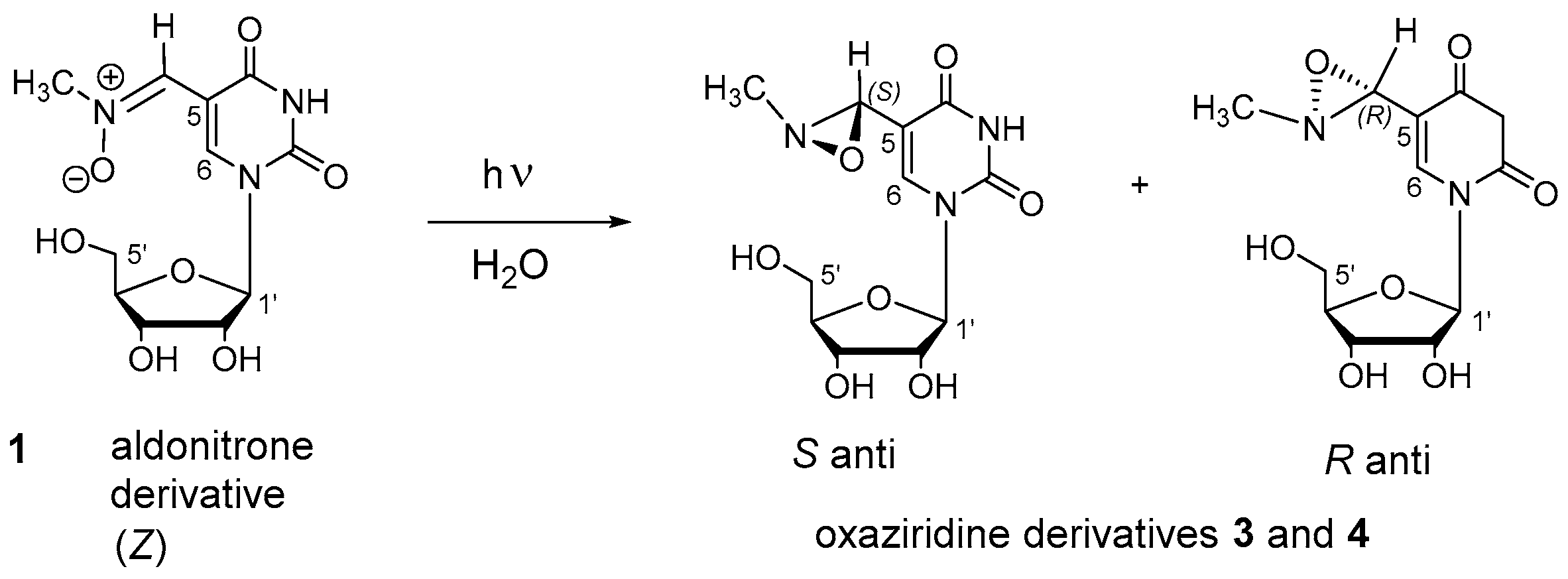 Biomolecules 08 00145 sch003 Biomolecules 08 00145 sch003