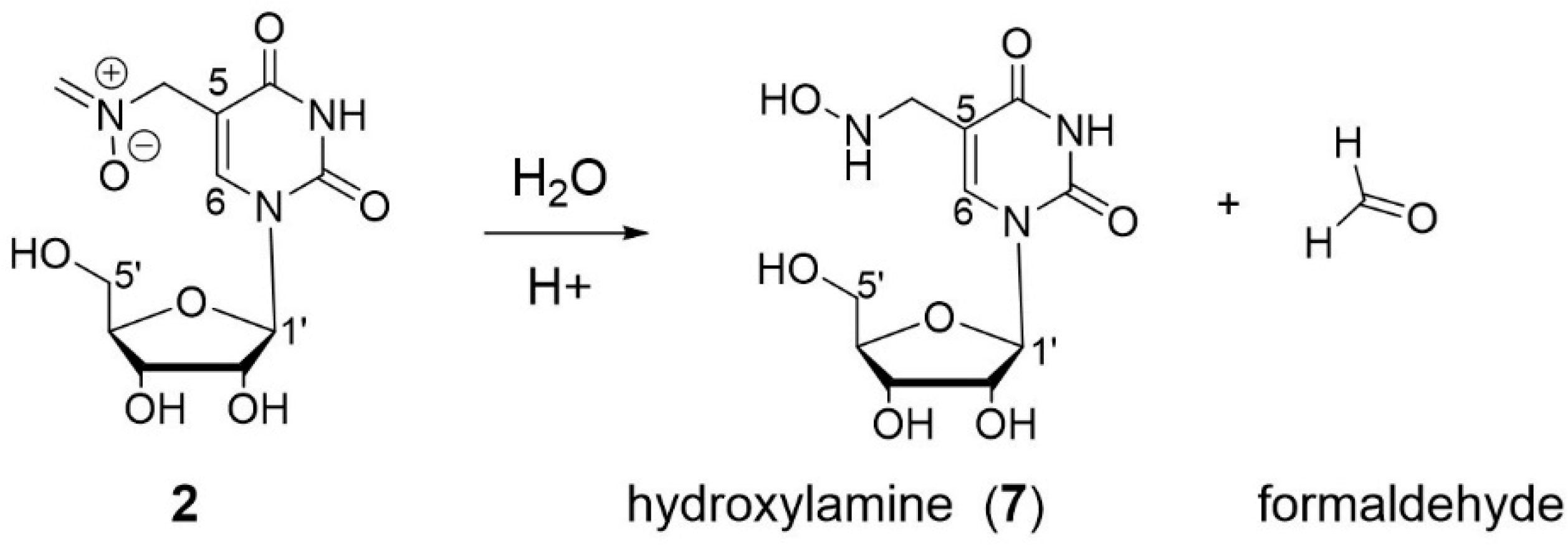 Biomolecules 08 00145 sch006 Biomolecules 08 00145 sch006