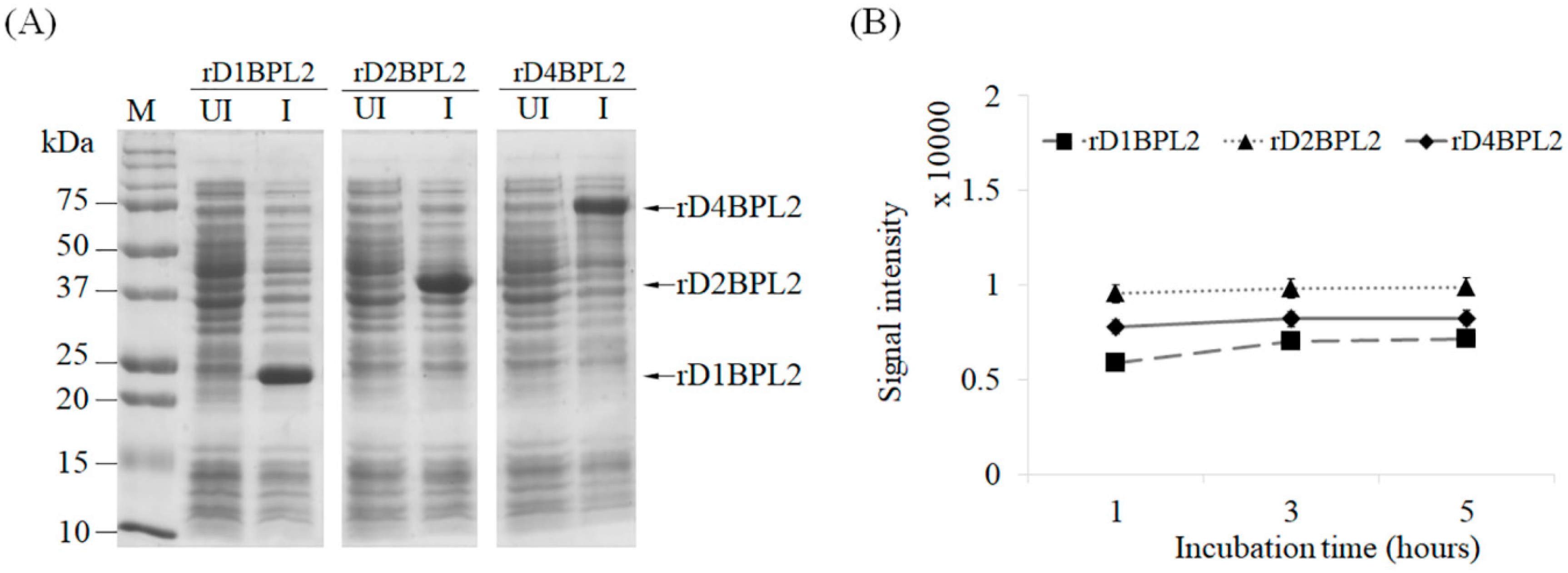 Biomolecules 08 00146 g003 Biomolecules 08 00146 g003