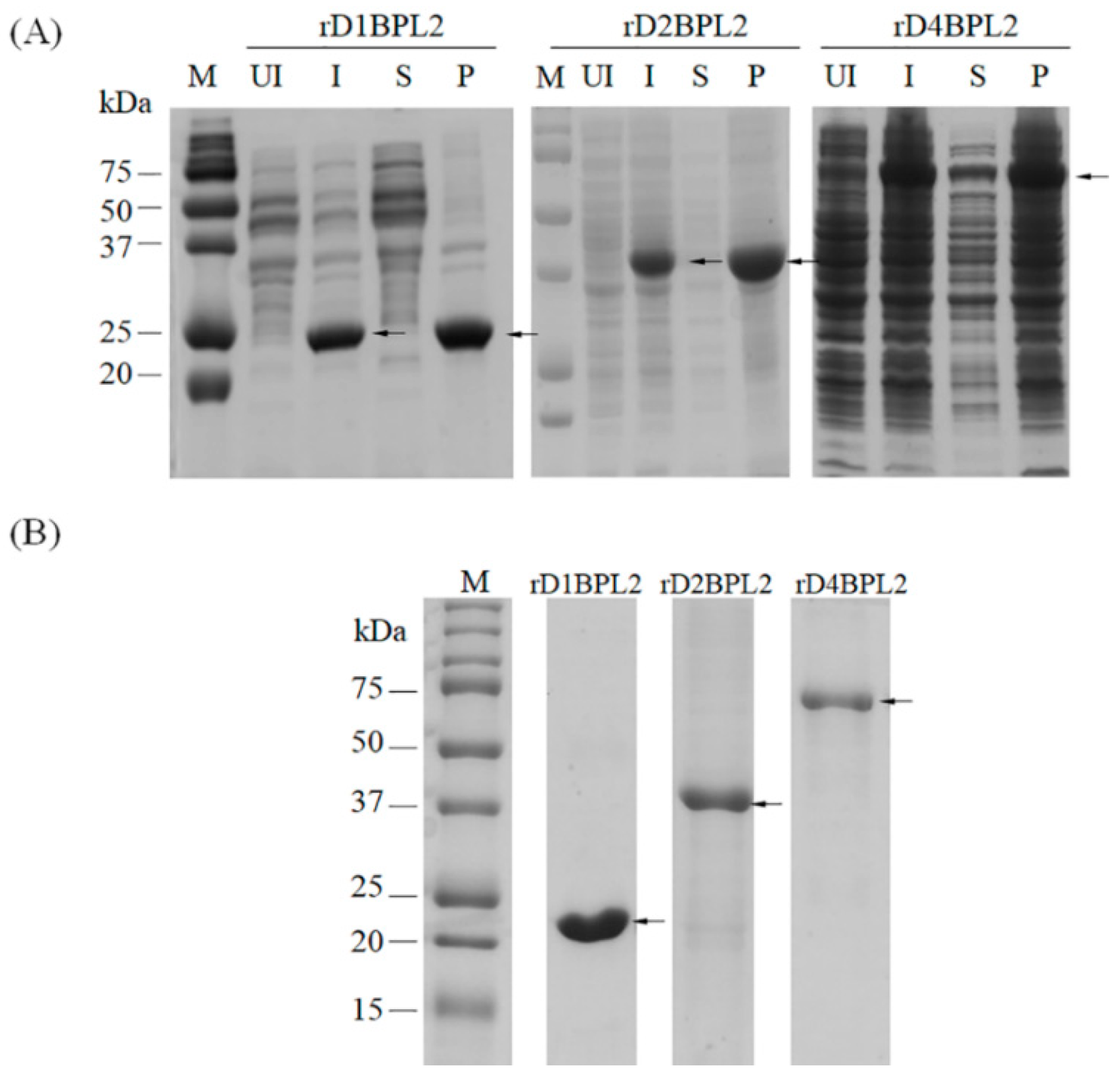 Biomolecules 08 00146 g005 Biomolecules 08 00146 g005