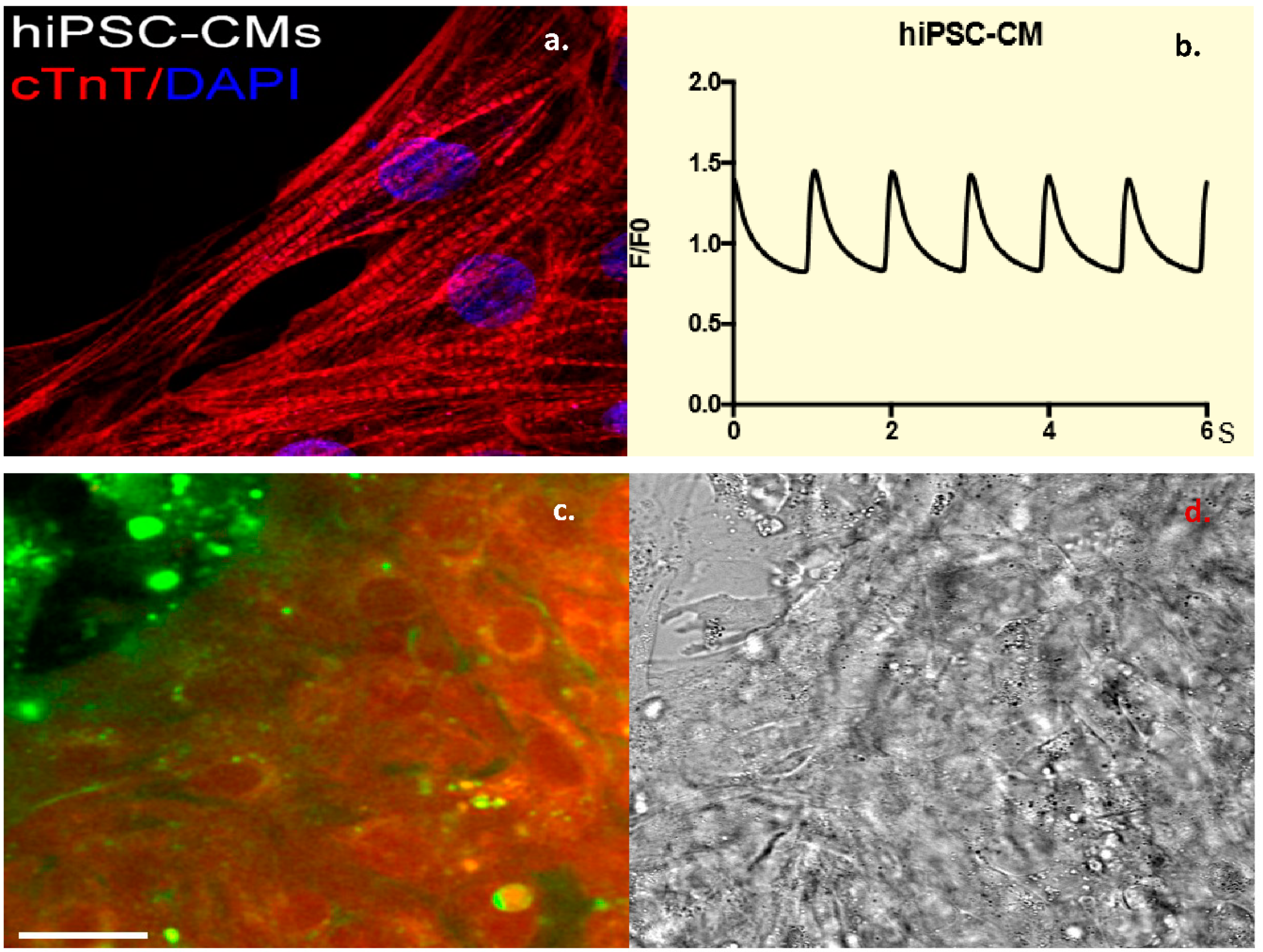 Biomolecules 08 00147 g003