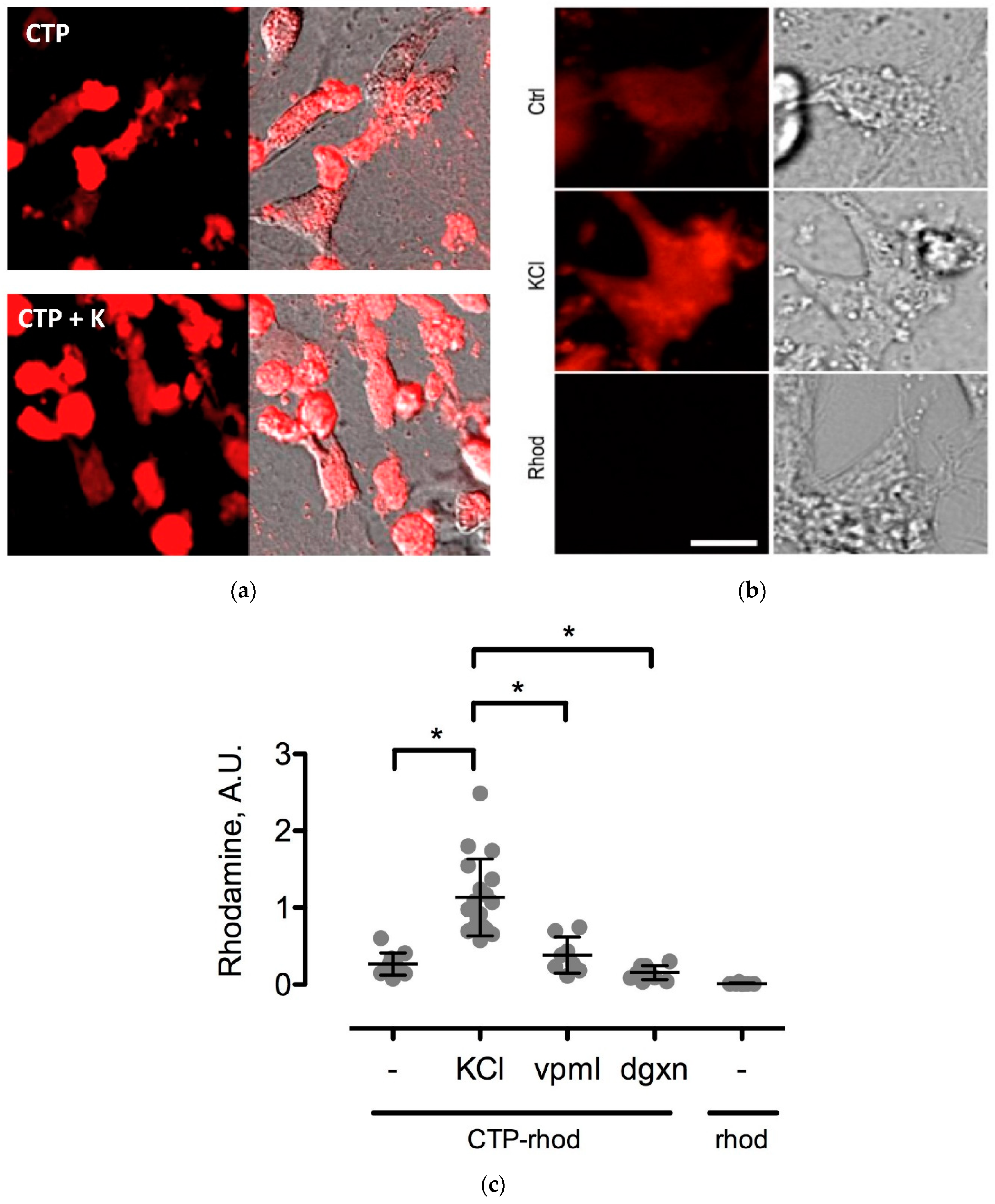 Biomolecules 08 00147 g007