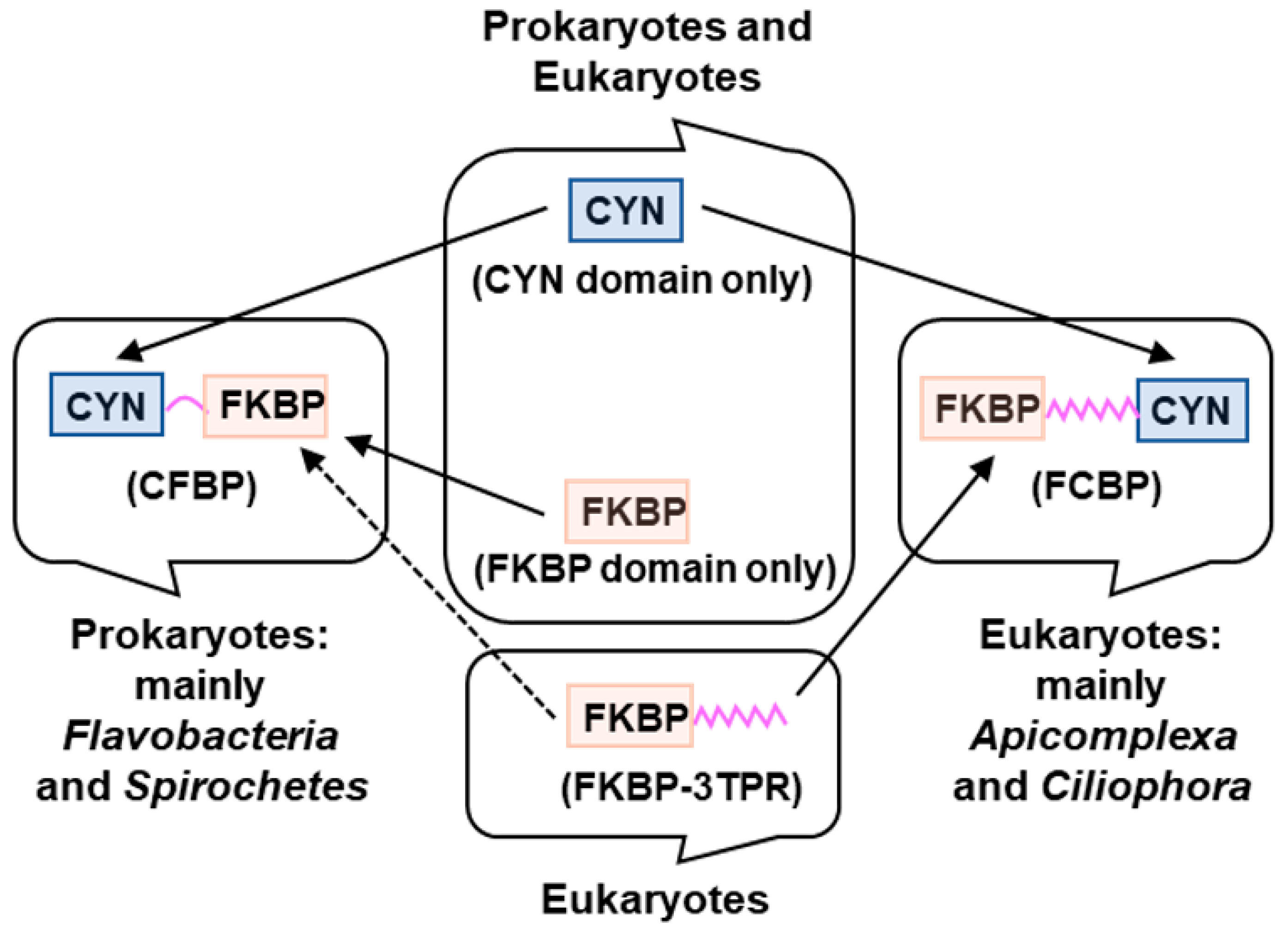 Biomolecules 08 00148 g001