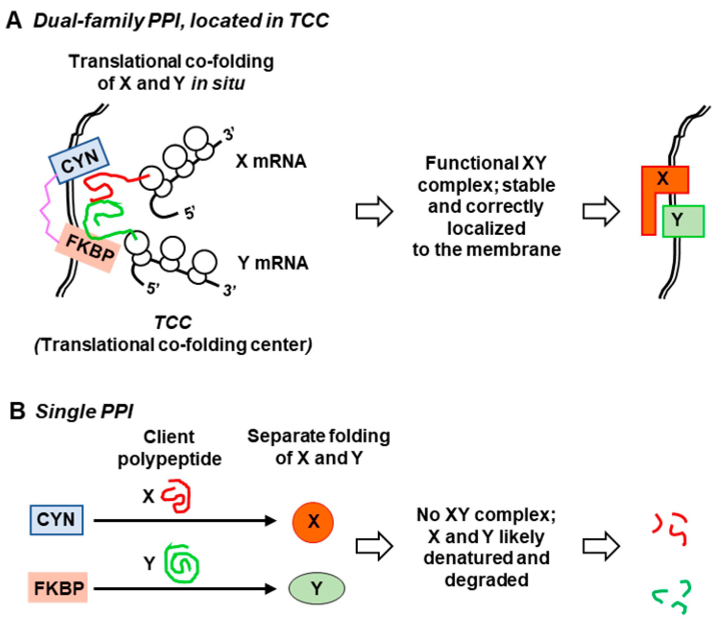 Biomolecules 08 00148 g004