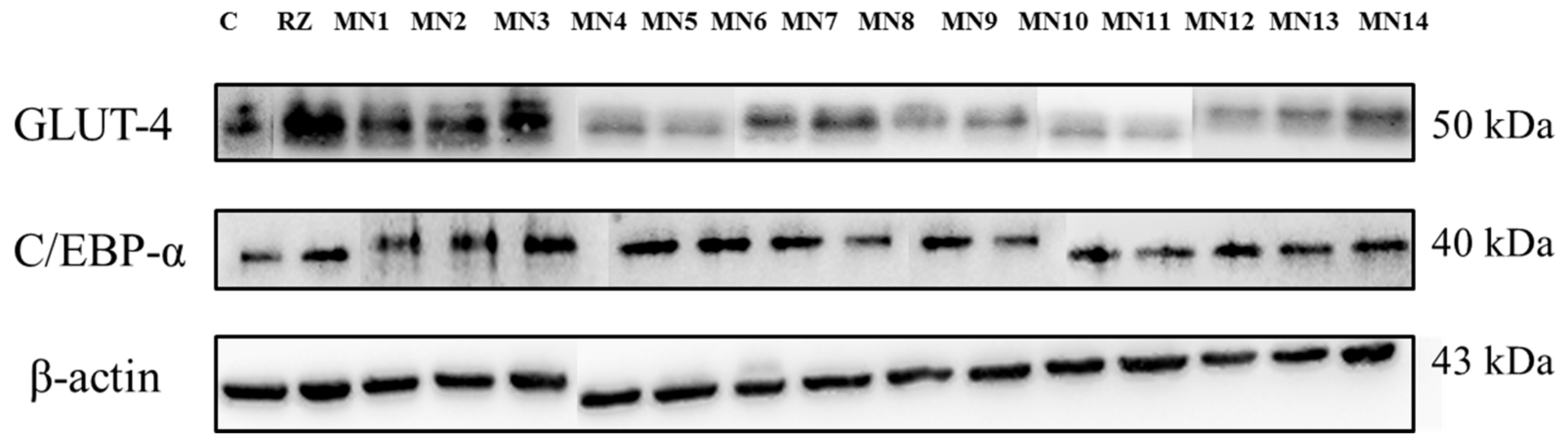 Biomolecules 08 00149 g011