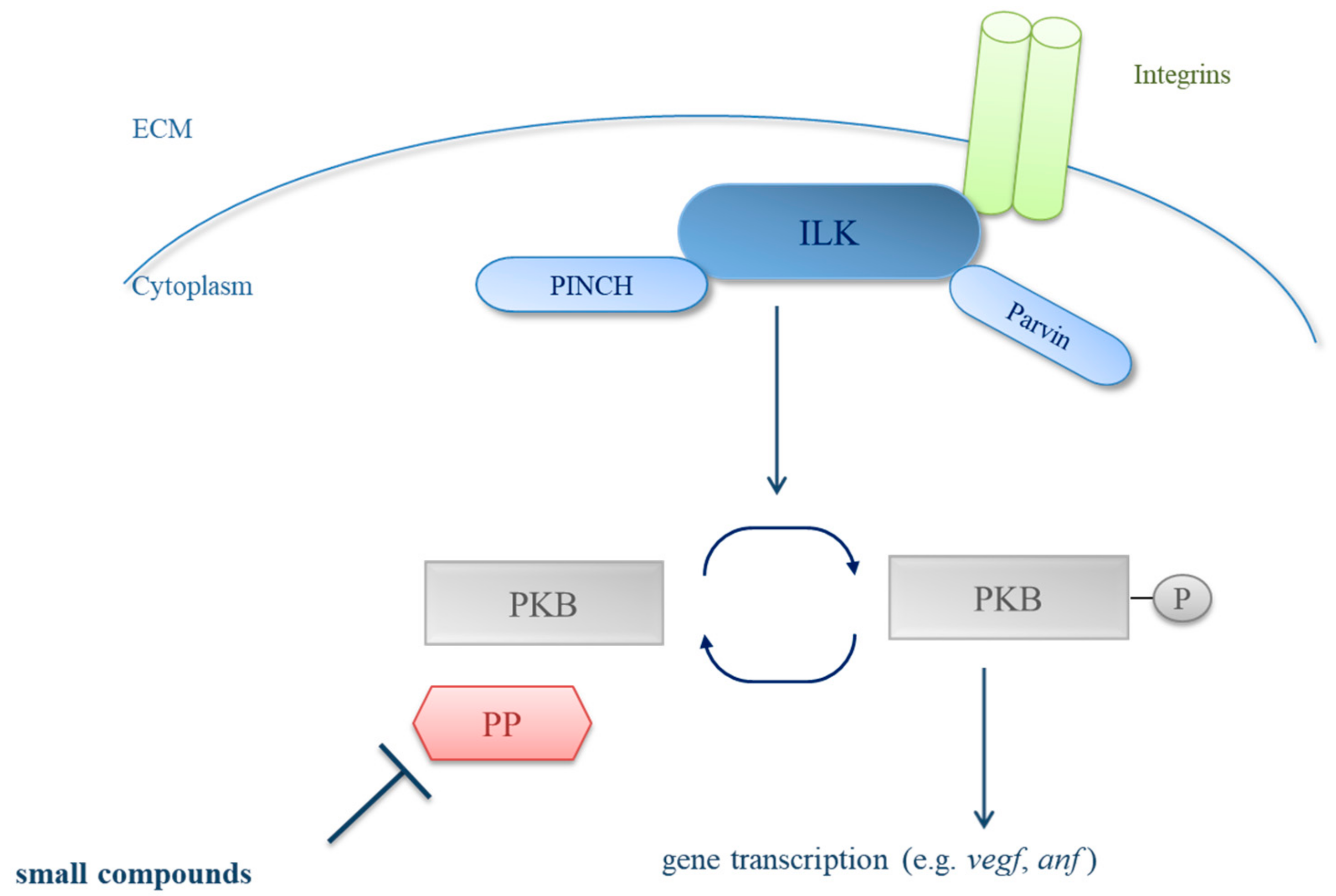Biomolecules 08 00153 g001