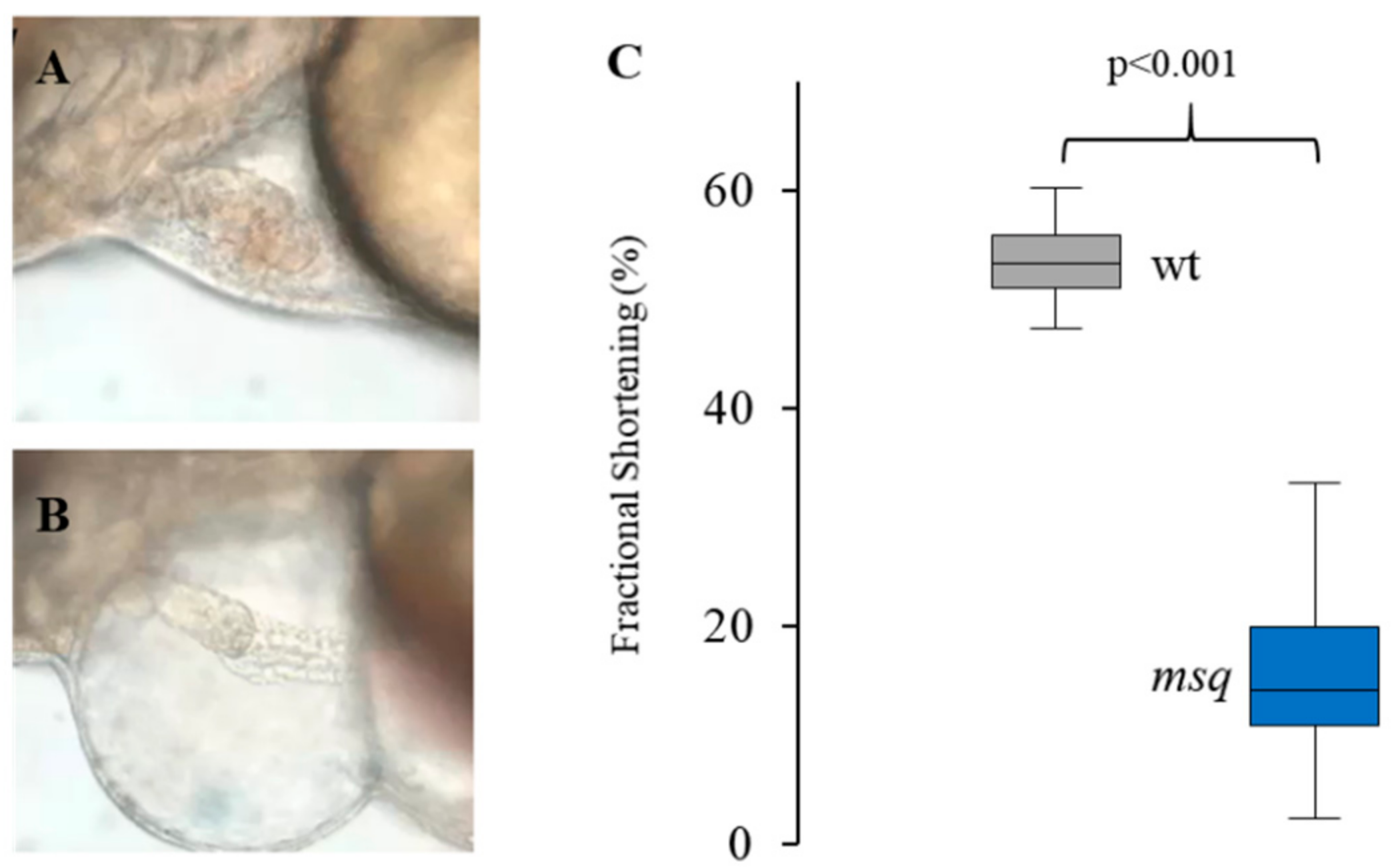 Biomolecules 08 00153 g002