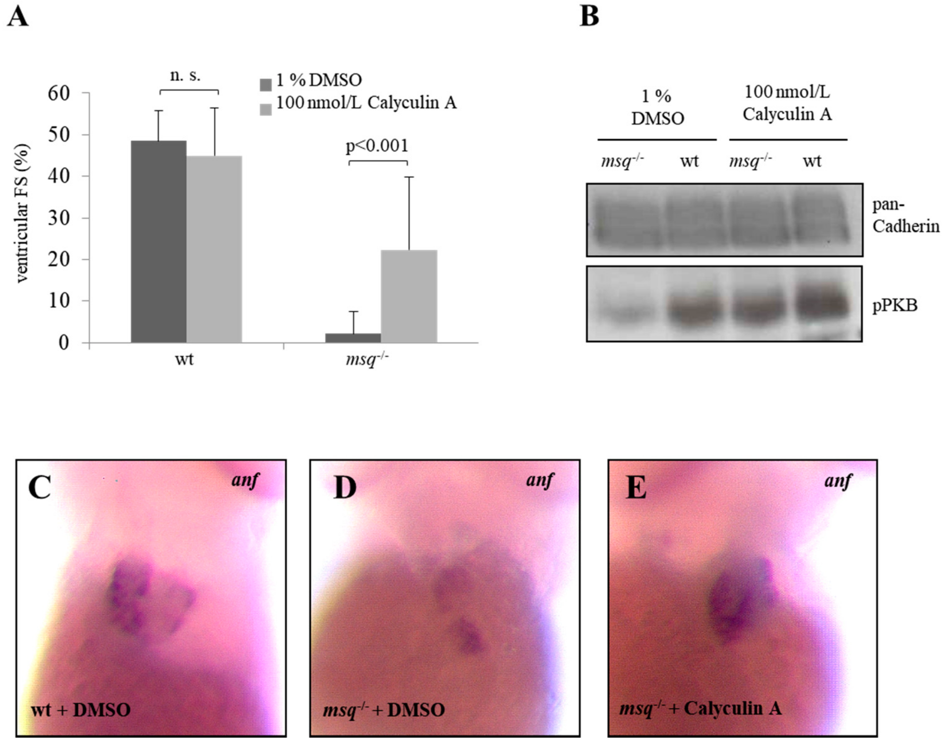 Biomolecules 08 00153 g004