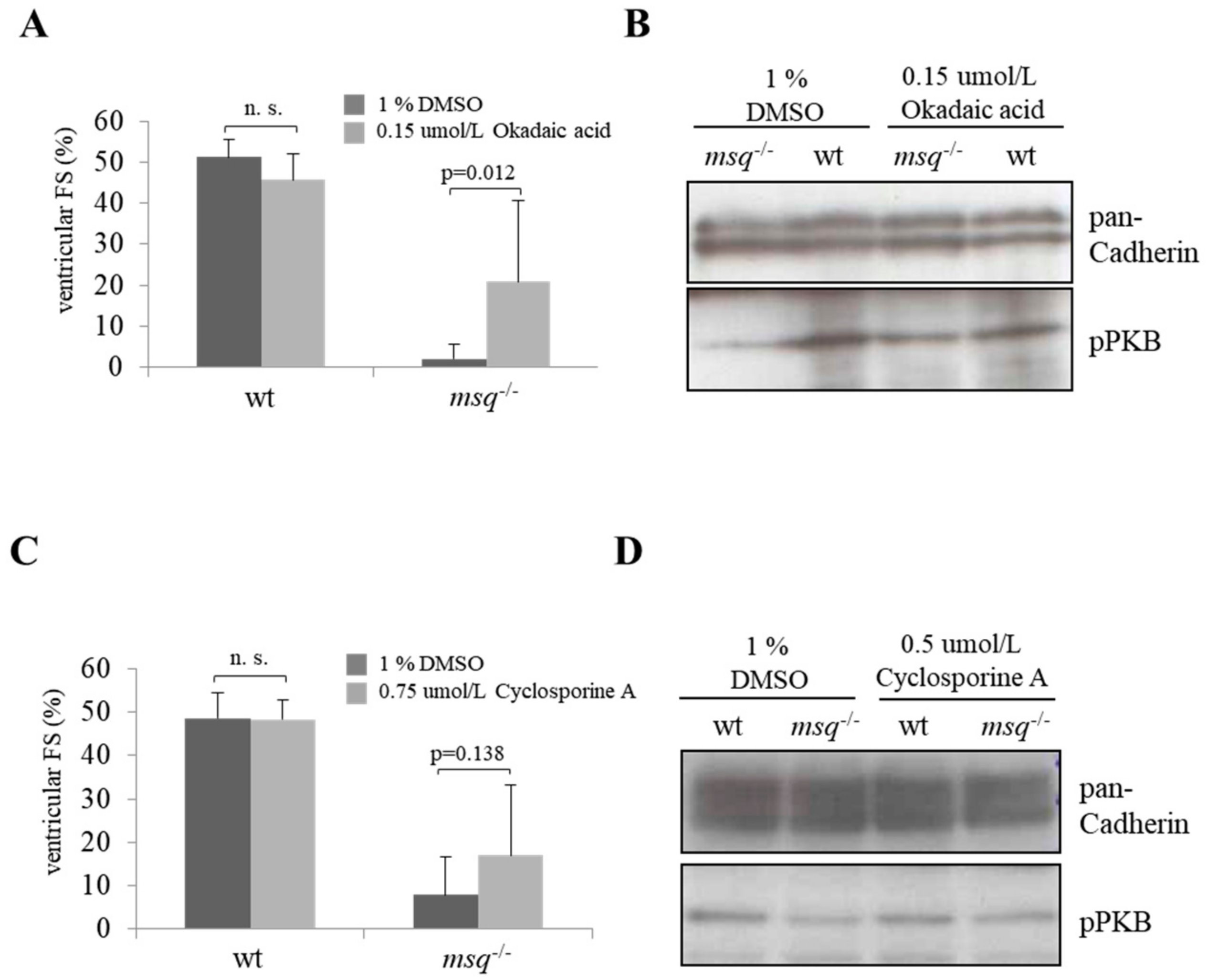 Biomolecules 08 00153 g005