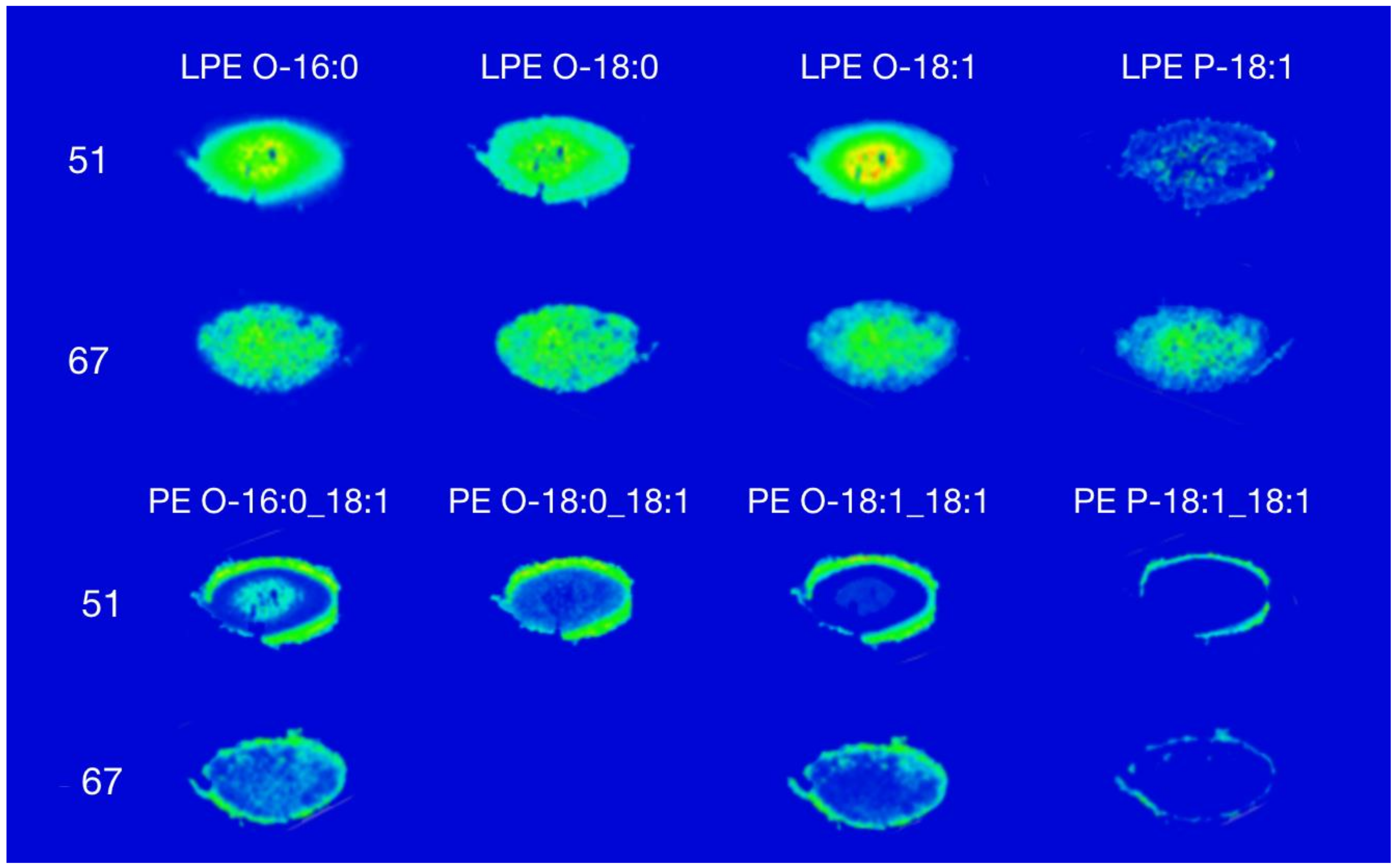 Biomolecules 08 00156 g001 Biomolecules 08 00156 g001
