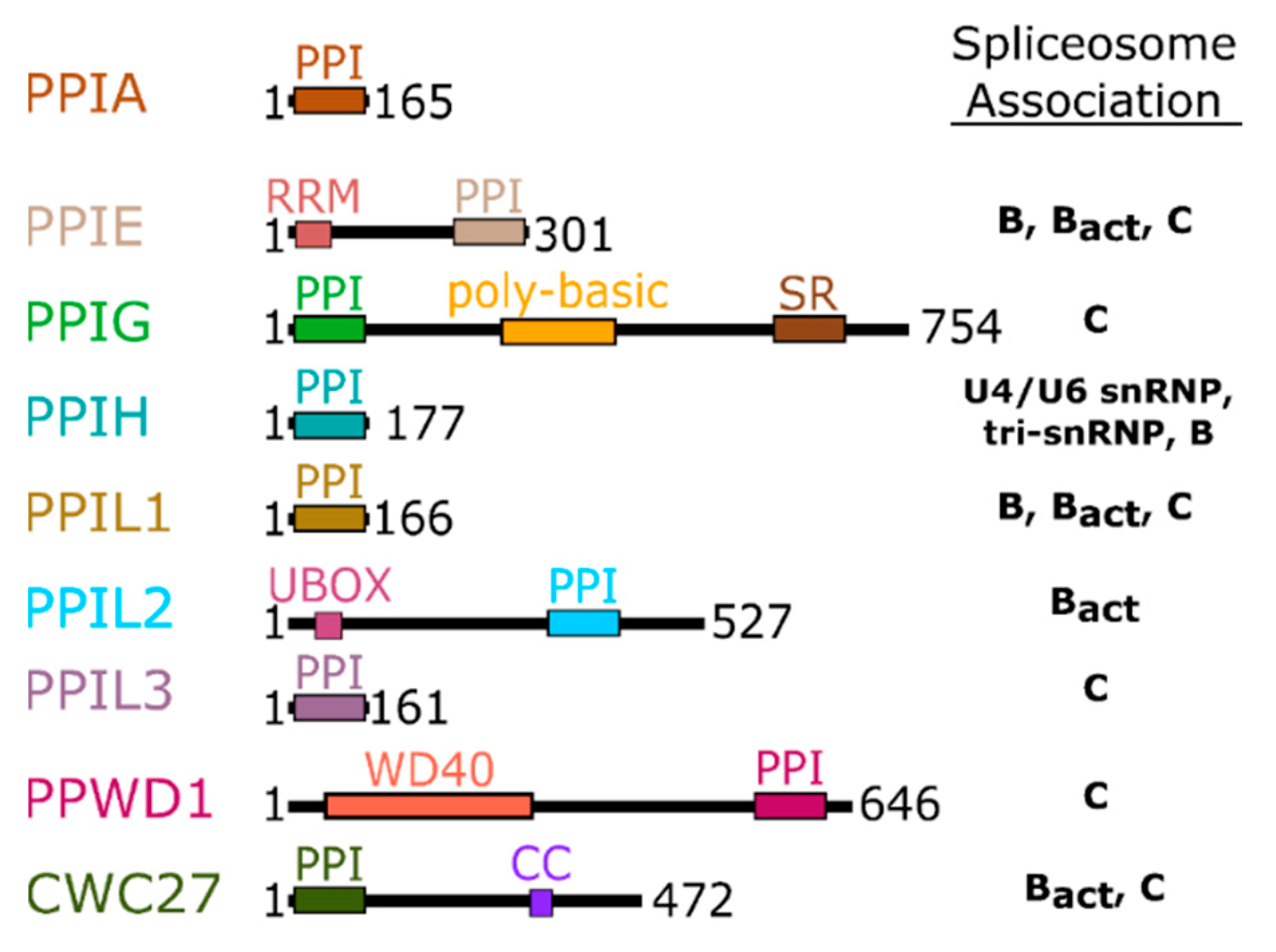 Biomolecules 08 00161 g002