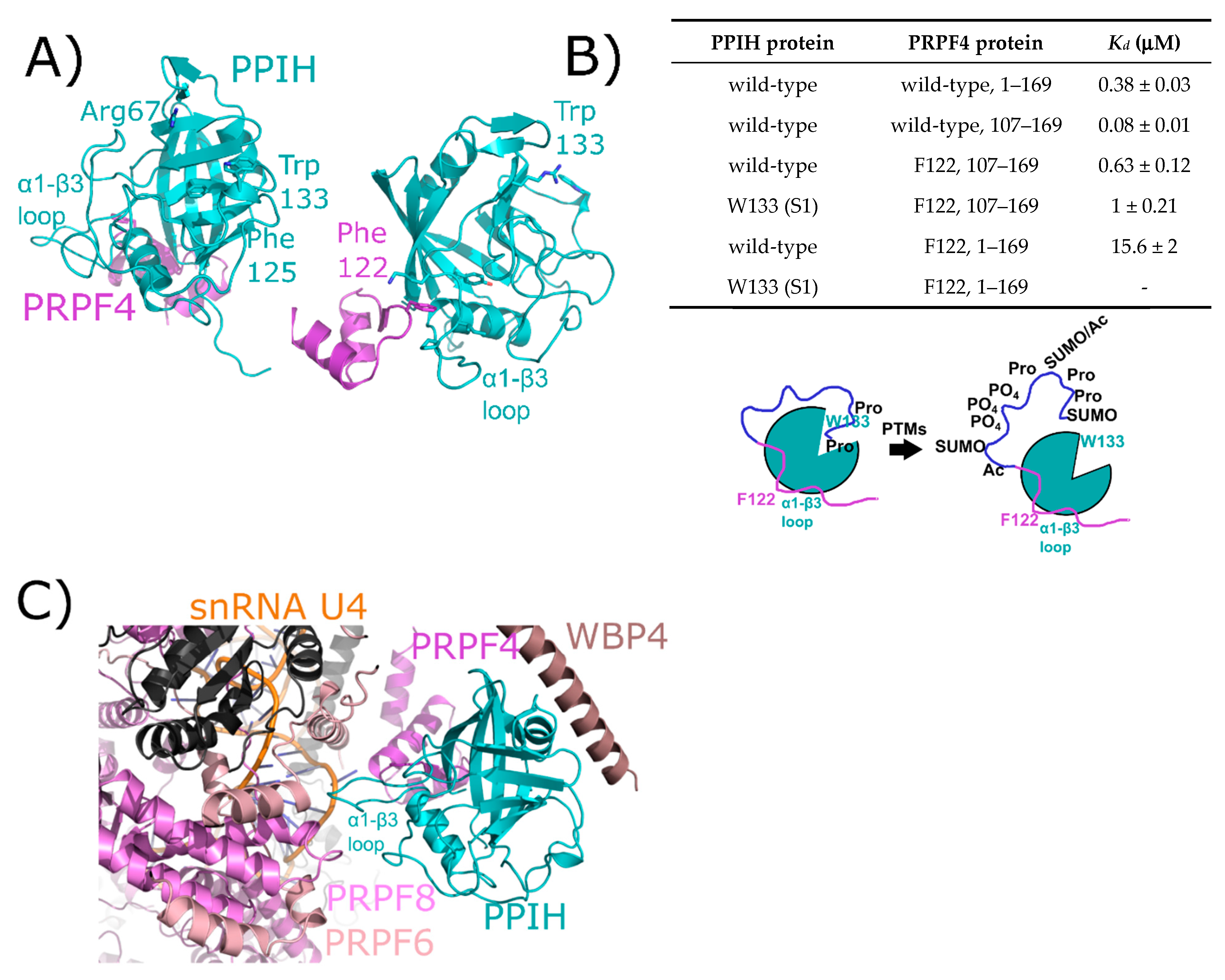 Biomolecules 08 00161 g004