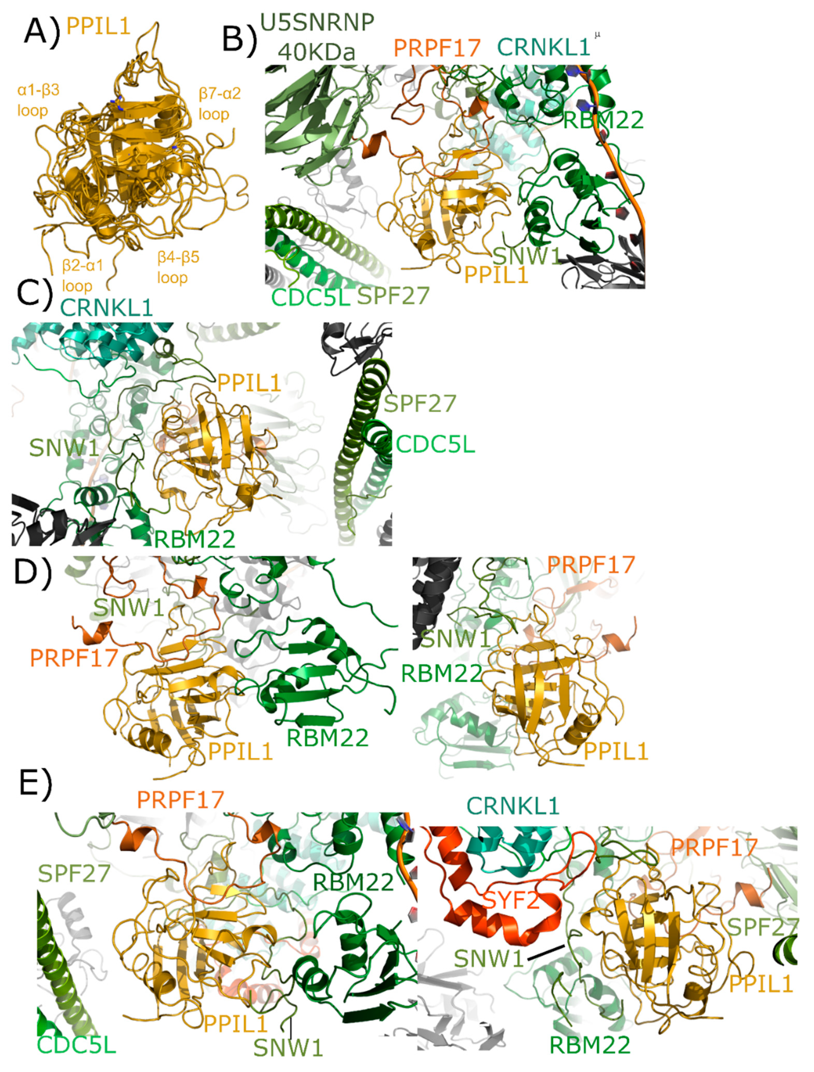 Biomolecules 08 00161 g006
