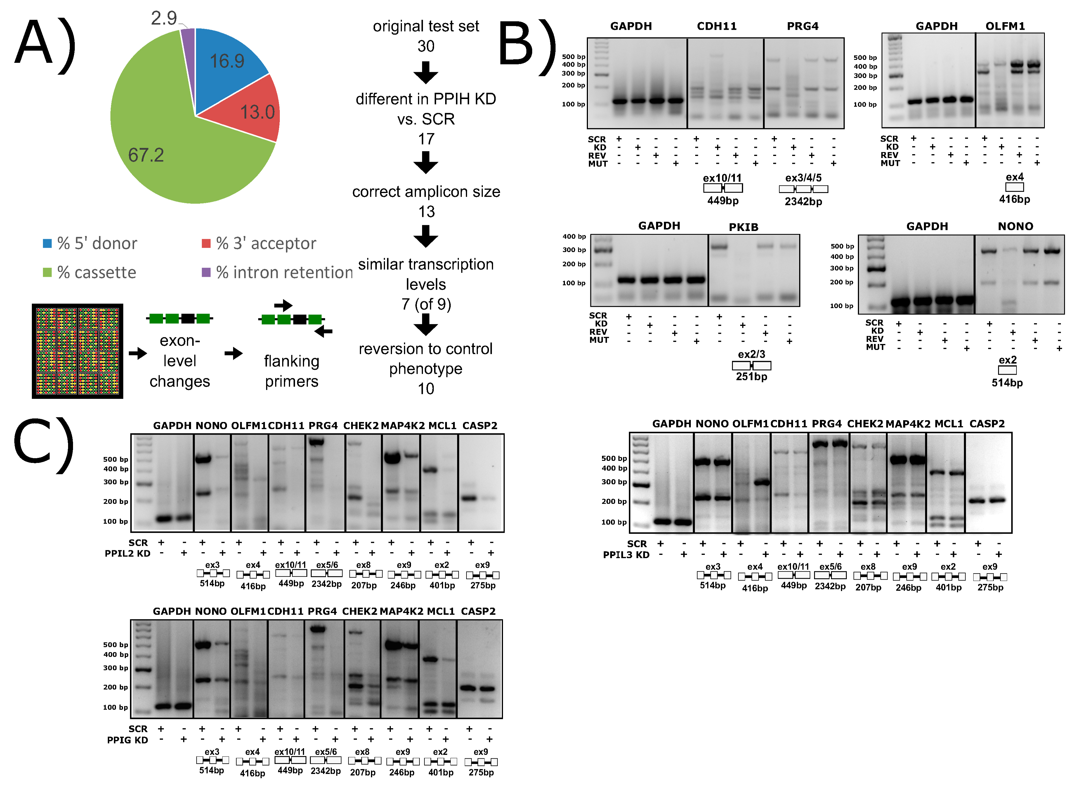 Biomolecules 08 00161 g012