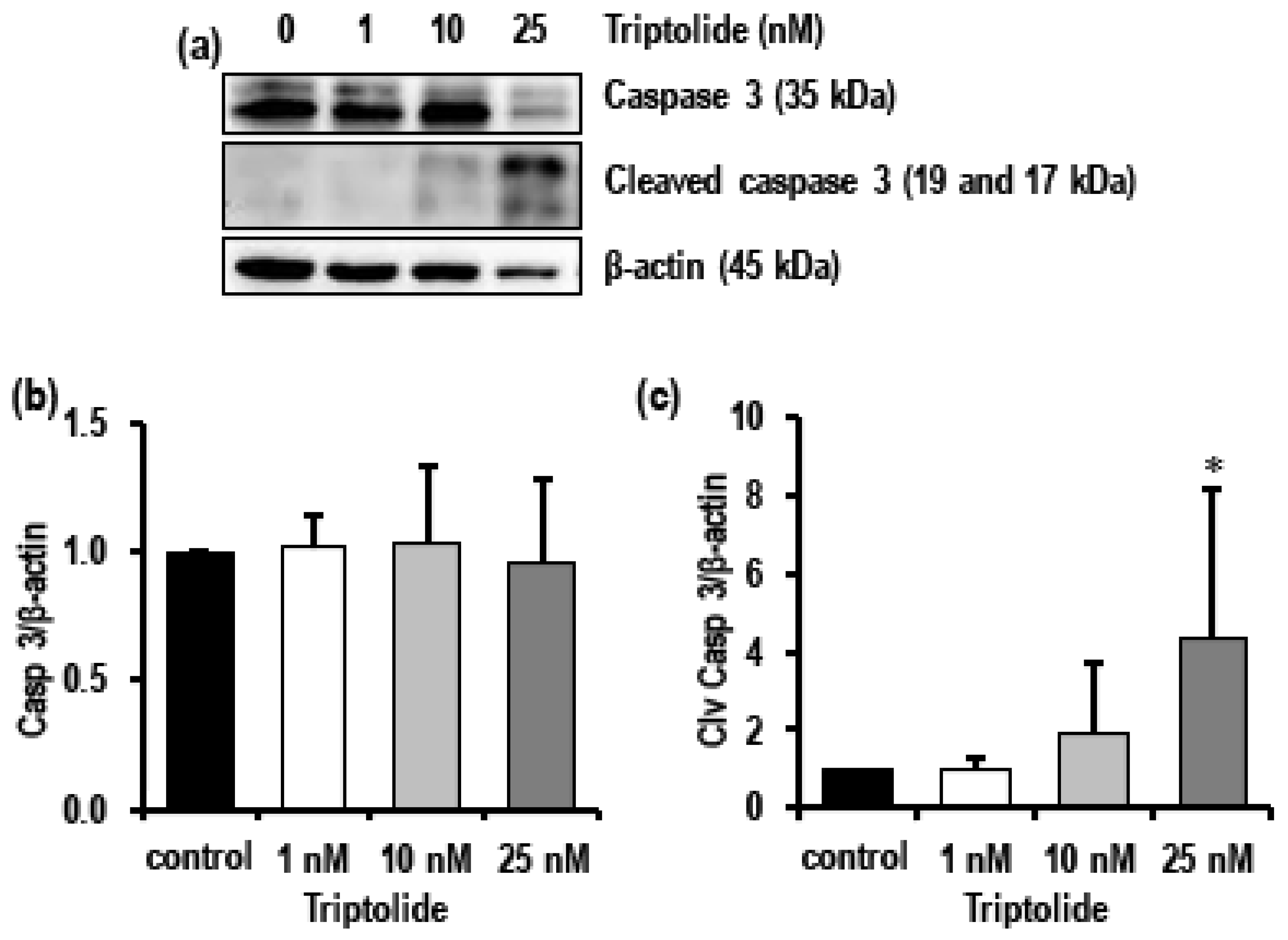 Biomolecules 08 00163 g006 Biomolecules 08 00163 g006