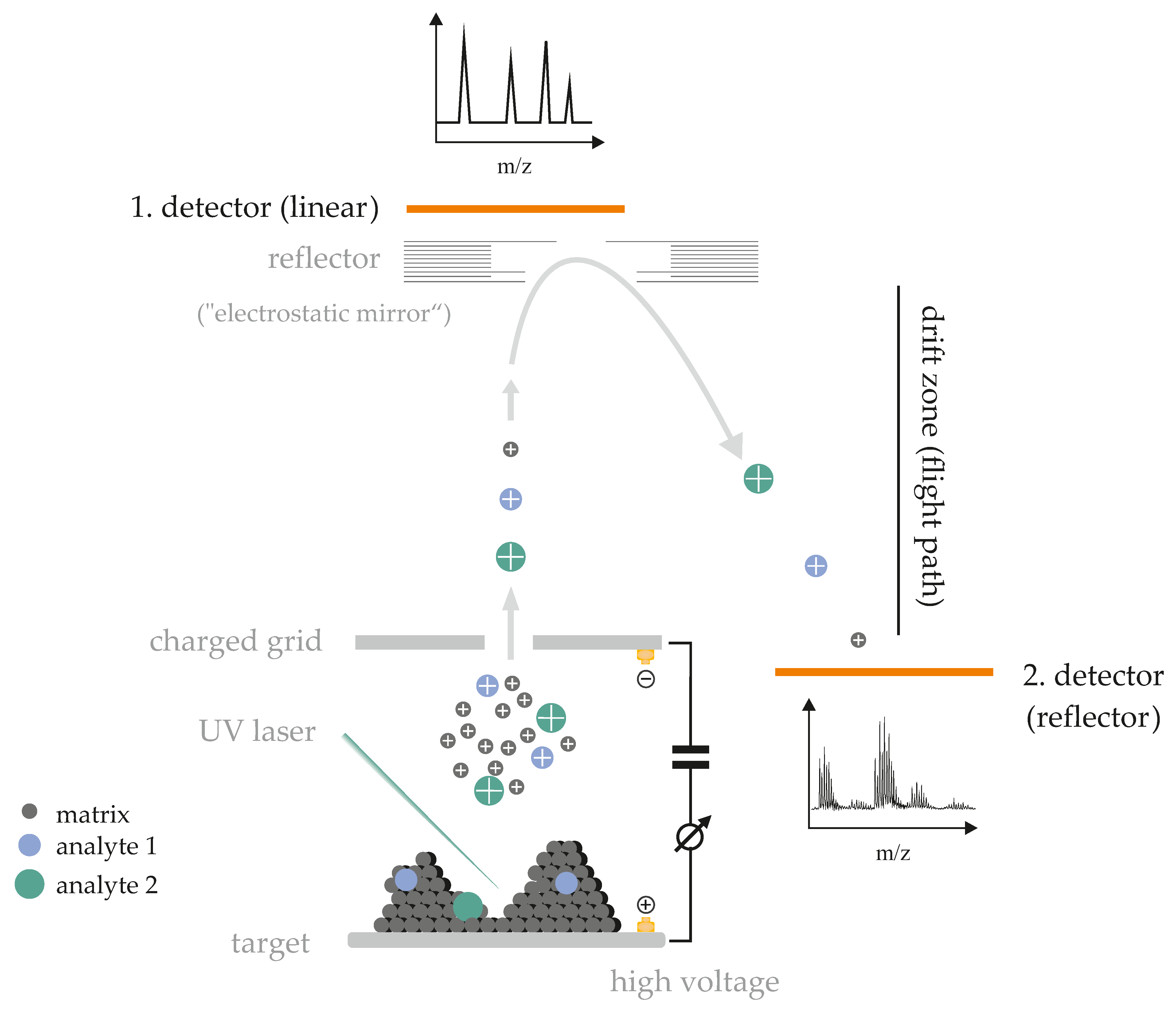 Biomolecules Free Full Text Recent Developments Of Useful Maldi Matrices For The Mass Spectrometric Characterization Of Lipids Html