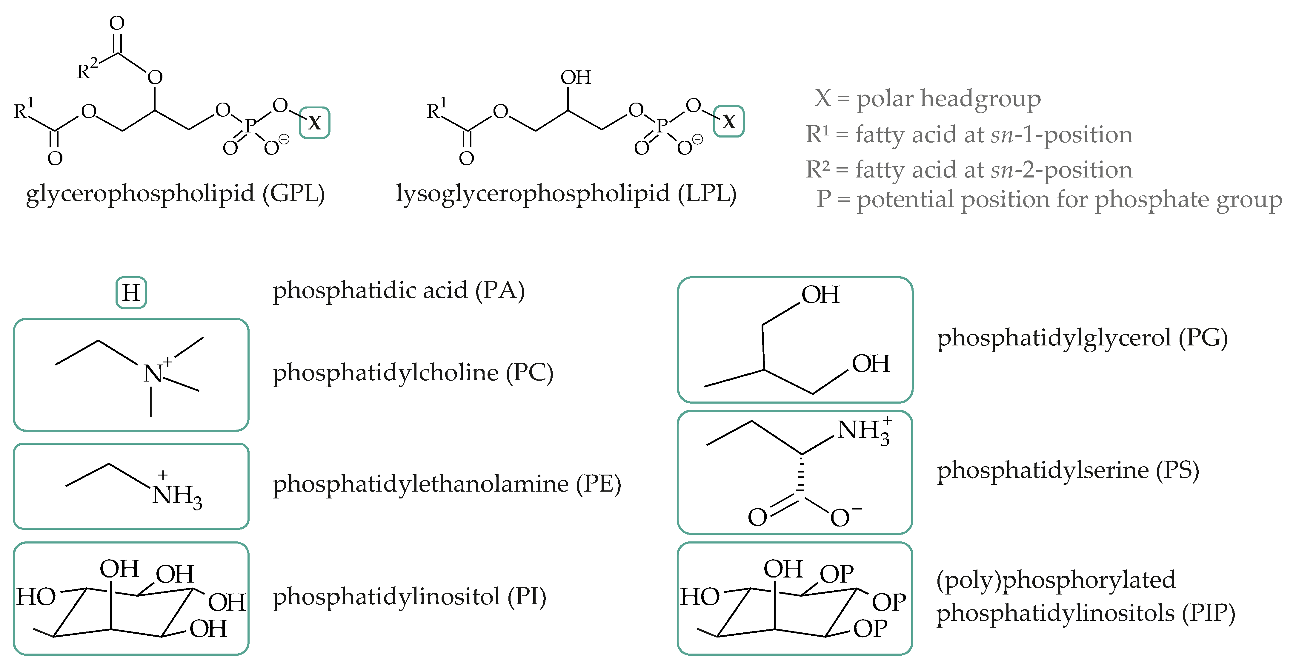 Biomolecules 08 00173 g003 Biomolecules 08 00173 g003