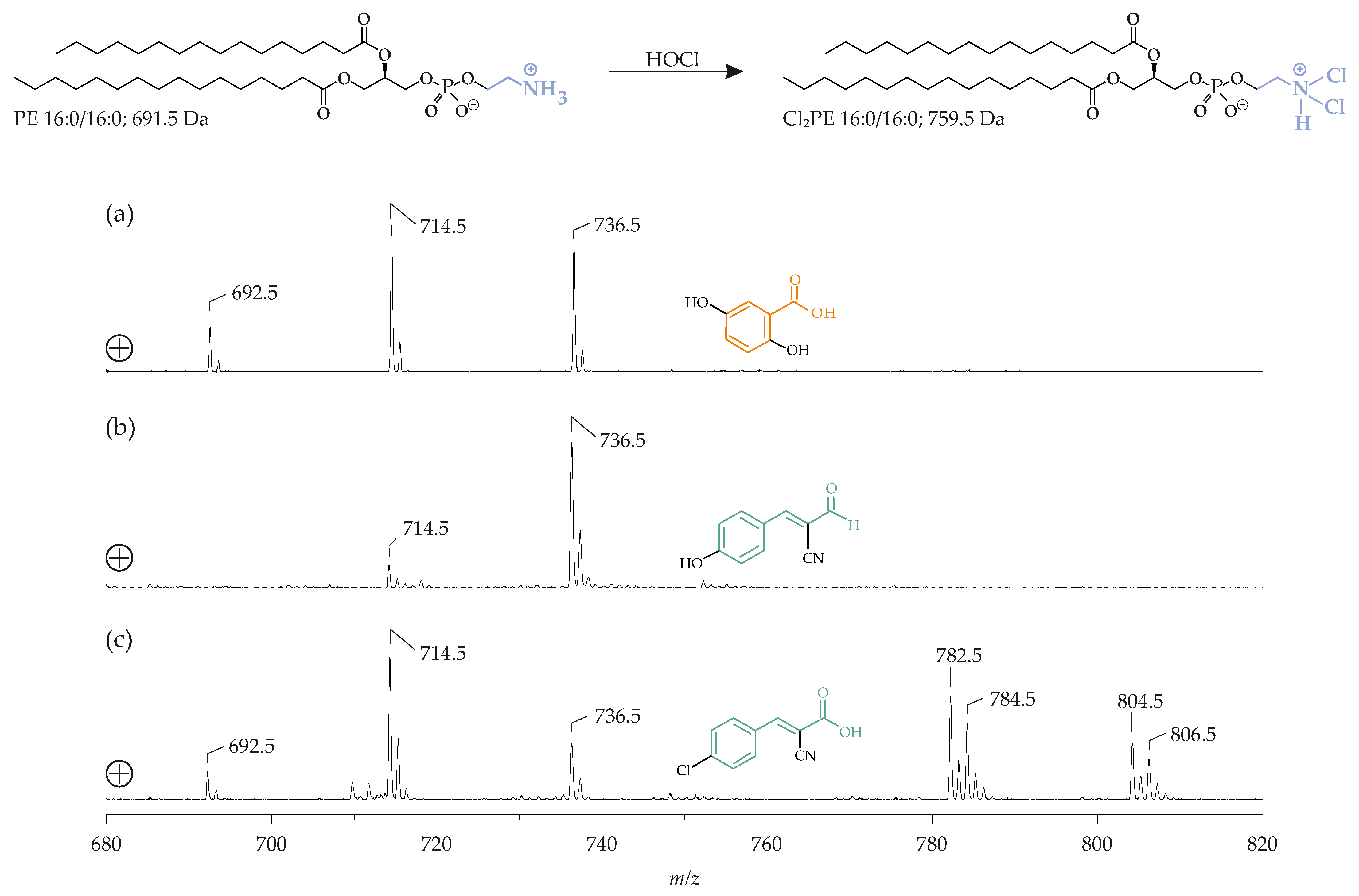 Biomolecules 08 00173 g005 Biomolecules 08 00173 g005