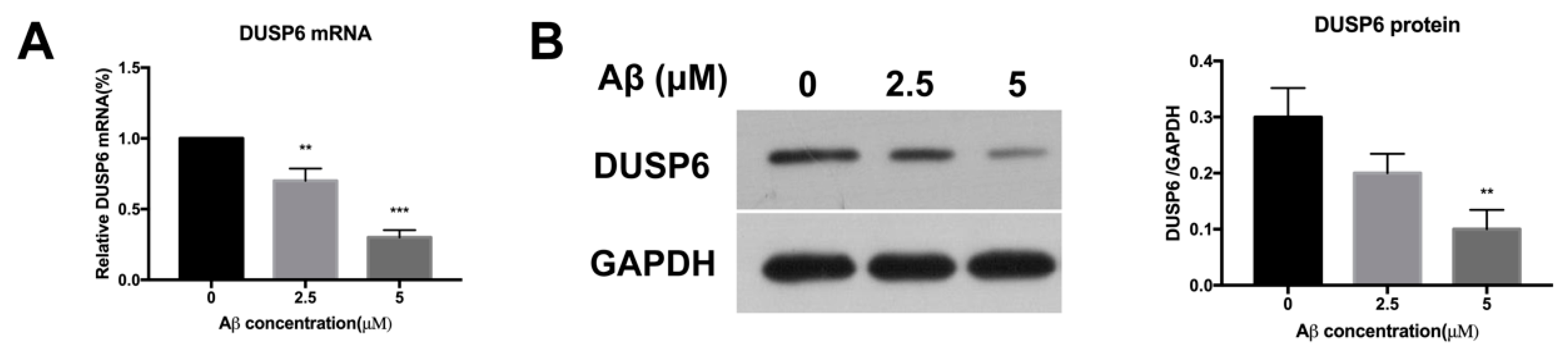 Biomolecules 08 00181 g001
