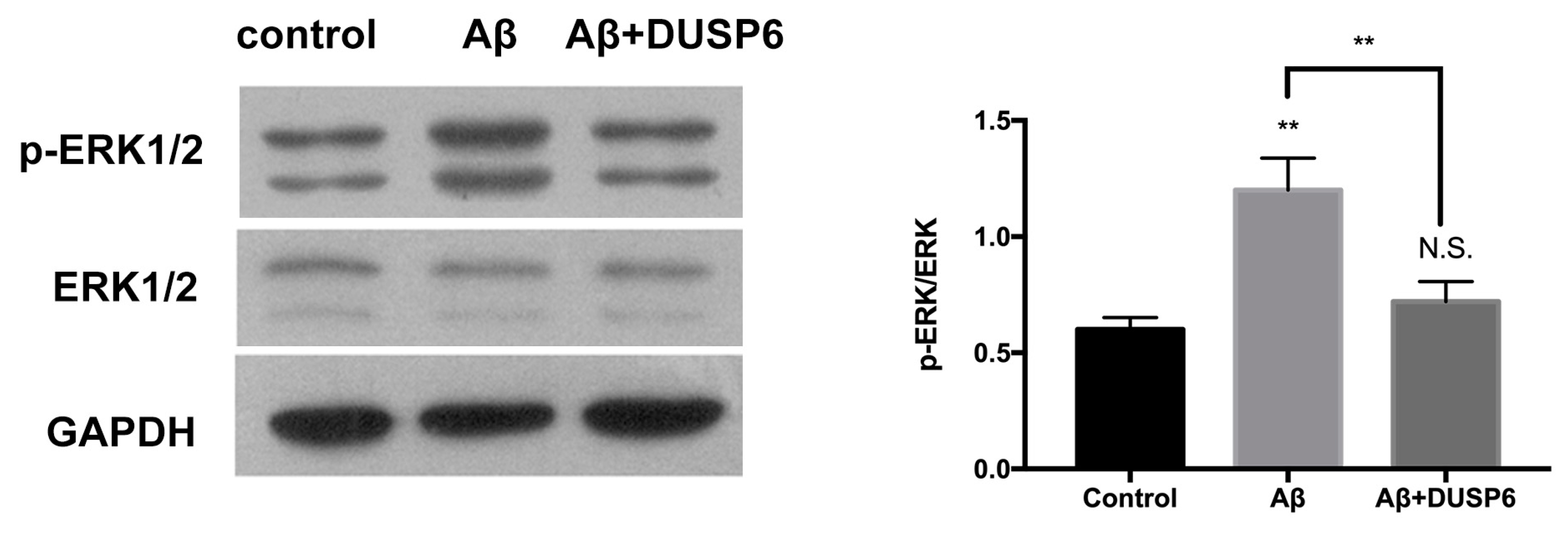 Biomolecules 08 00181 g005