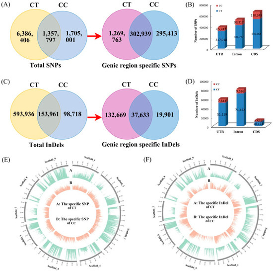 biomolecules december 2018 browse articles codon vs anticodon venn diagram
