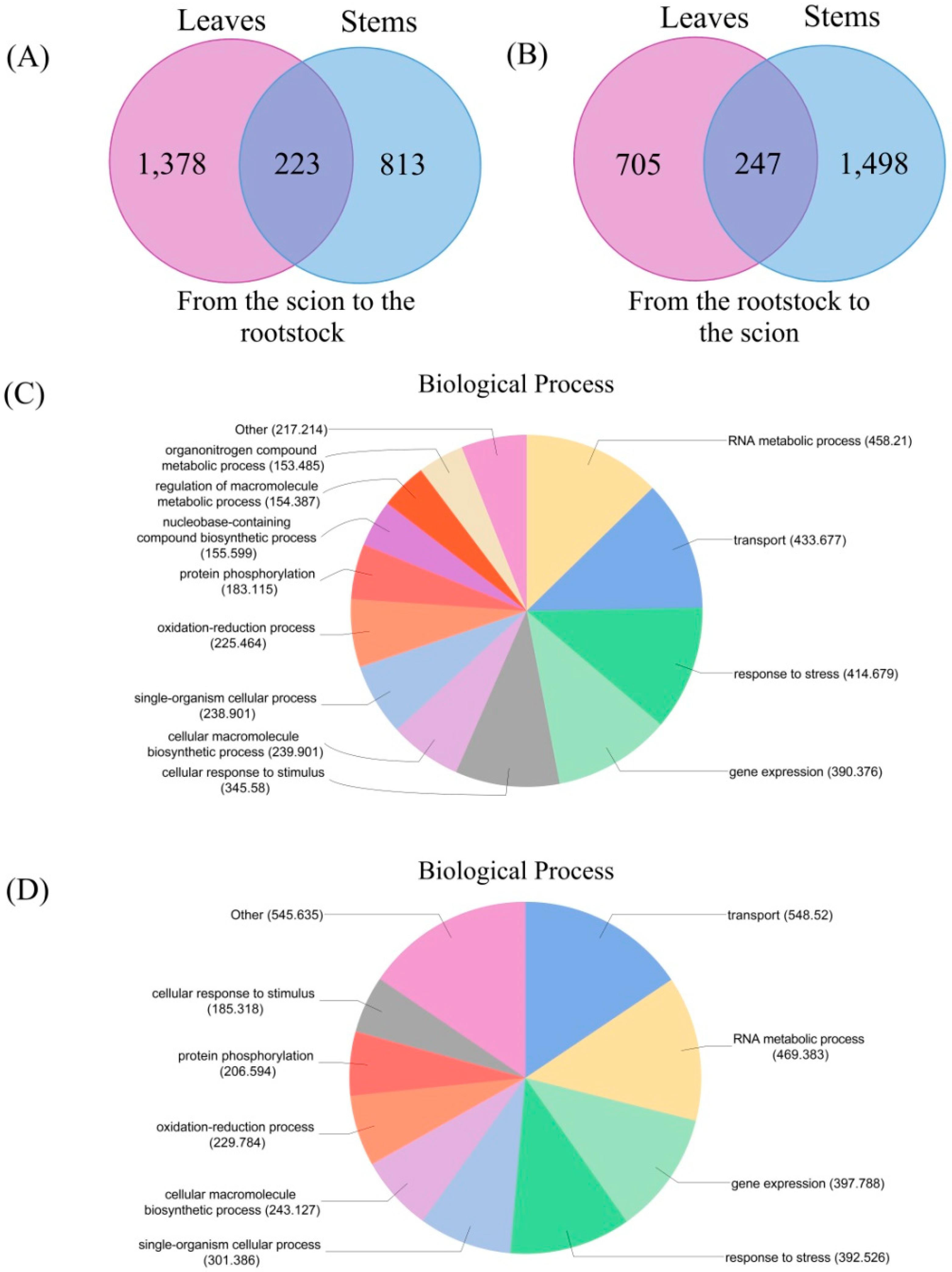 Biomolecules 08 00182 g005 Biomolecules 08 00182 g005