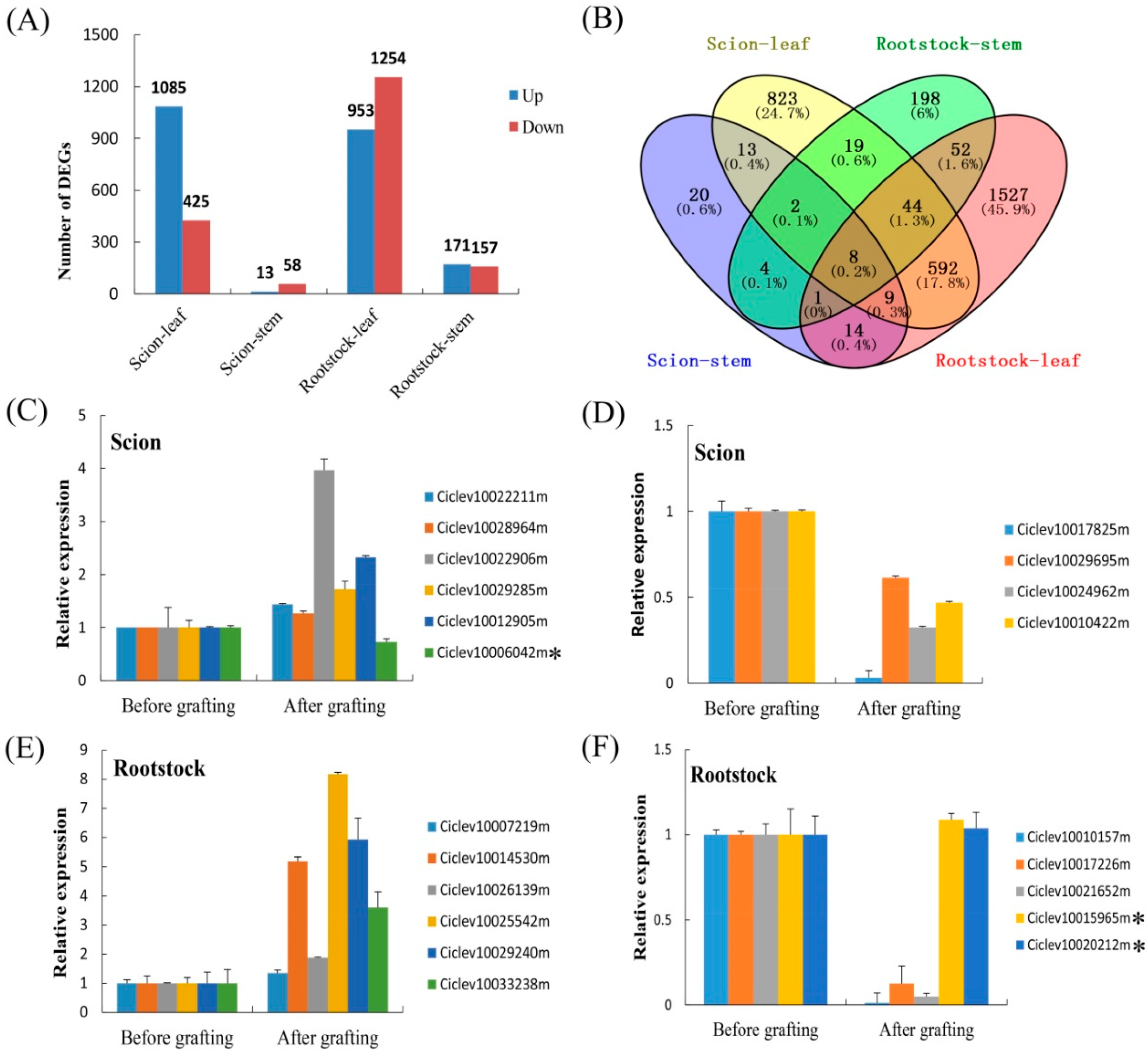 Biomolecules 08 00182 g006 Biomolecules 08 00182 g006